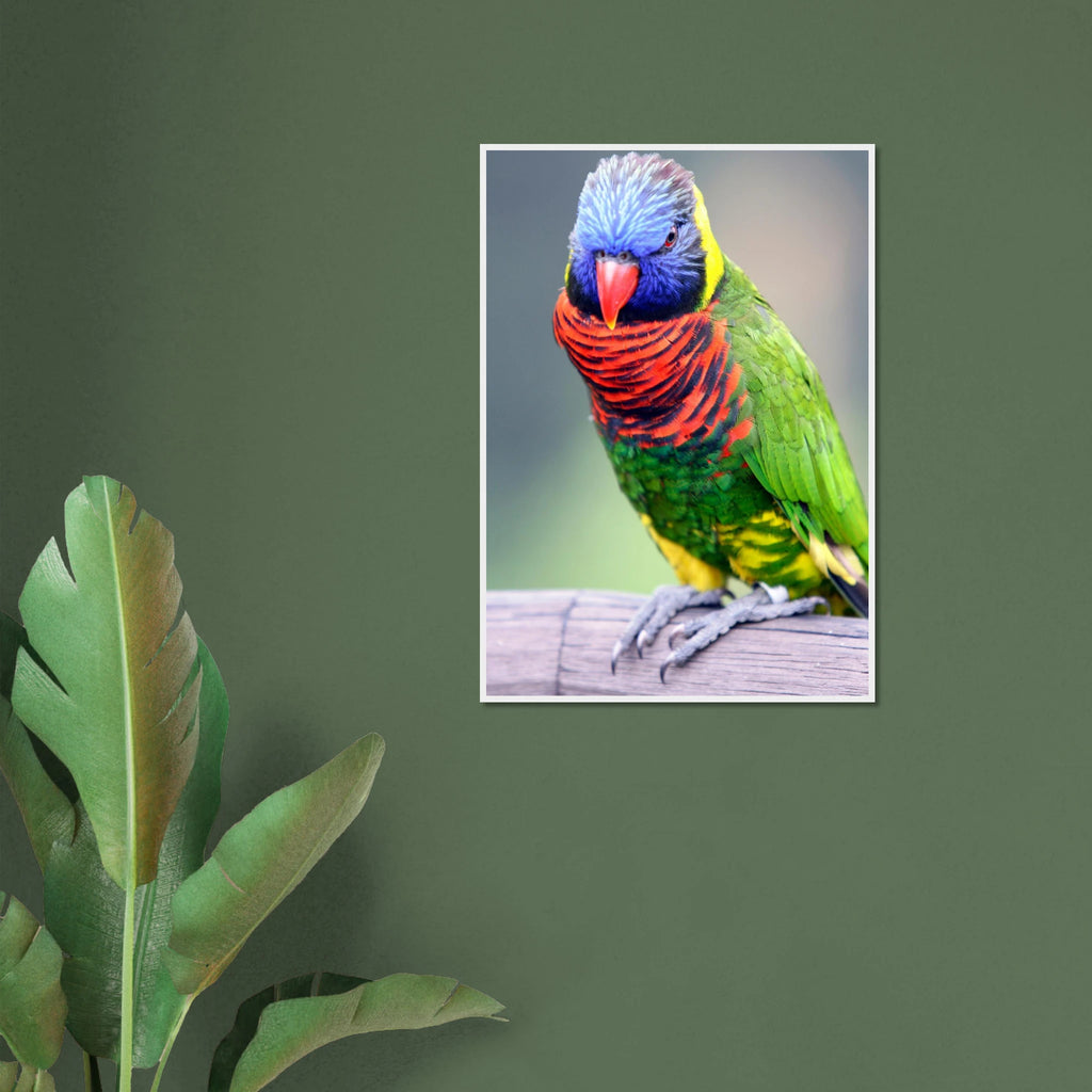 b7151892-d3bd-4b7c-89f7-3d08da0248fe