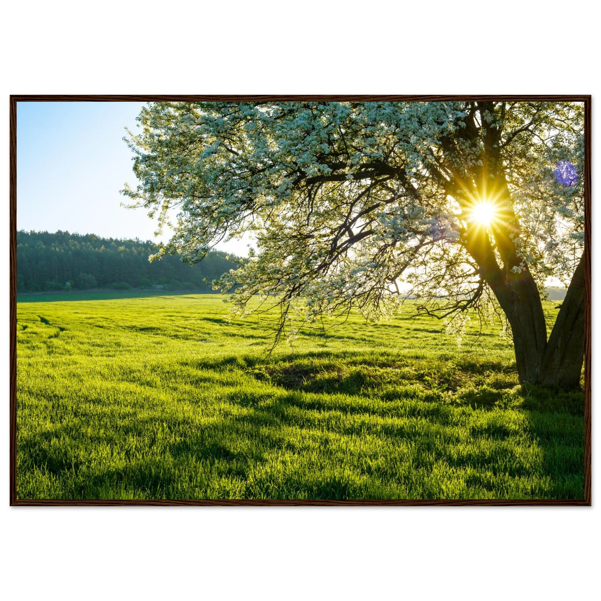 b77d0644-6233-4f8f-851b-b794f69770af