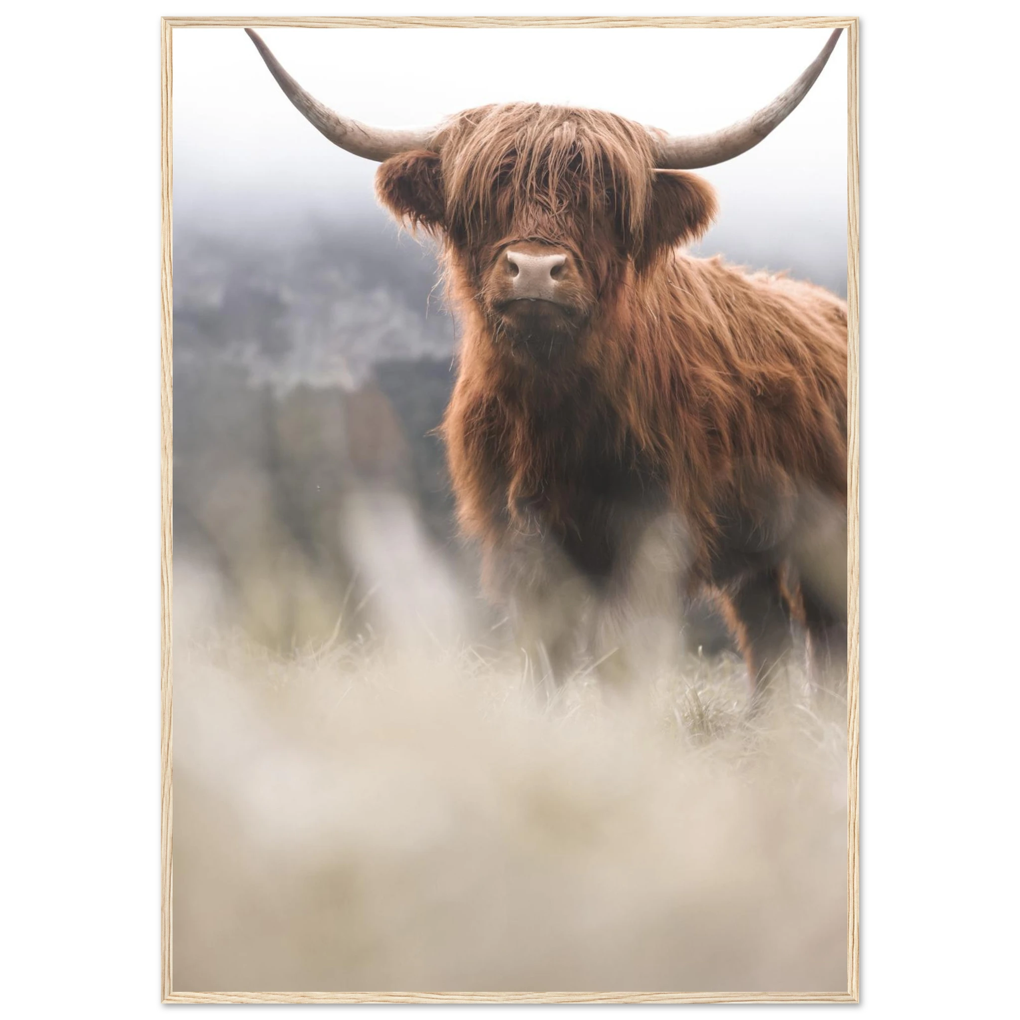 b787e415-ead0-42be-8e00-a1aa75cf1806