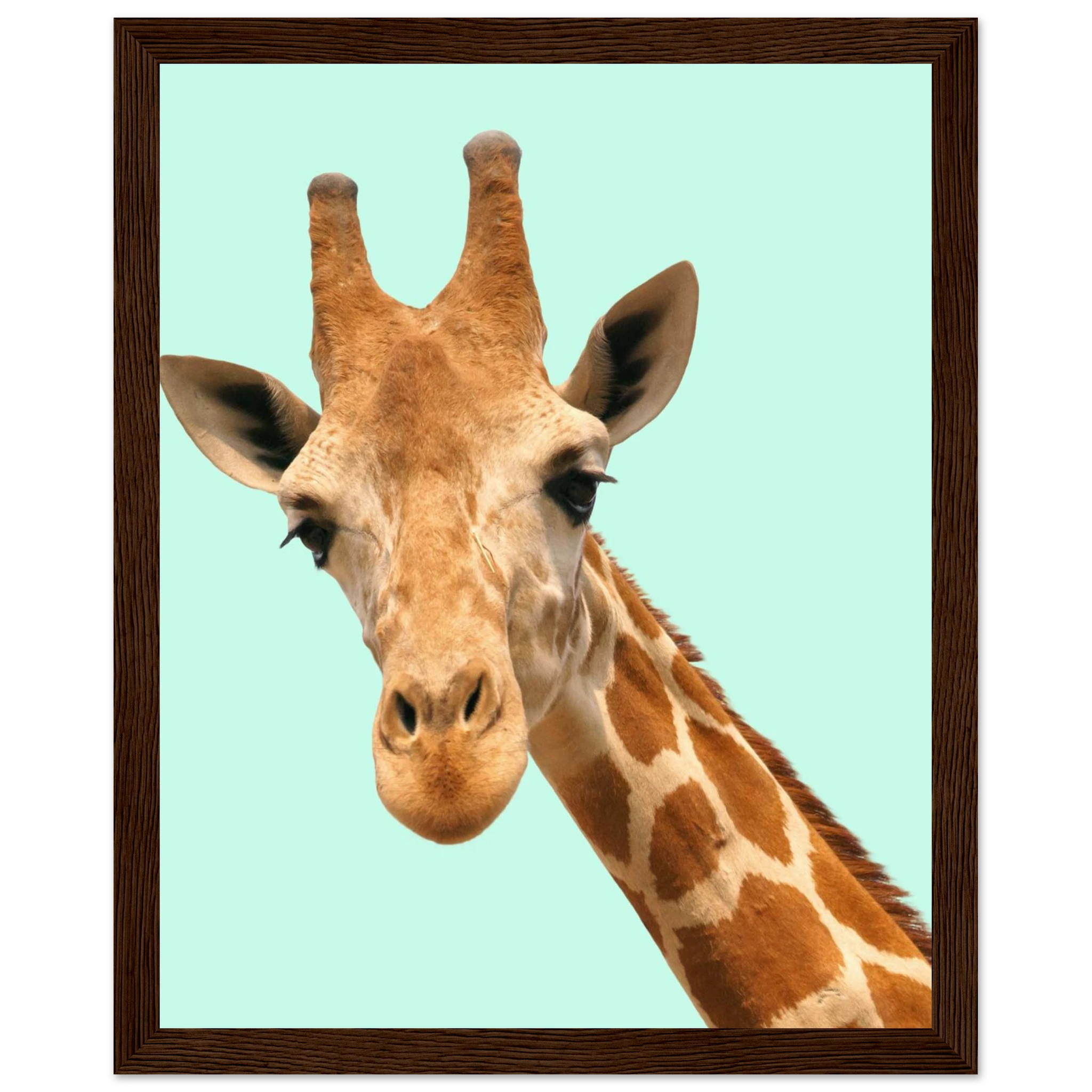 b7910ac9-8bc5-49b0-81ab-b0833a4ffadb