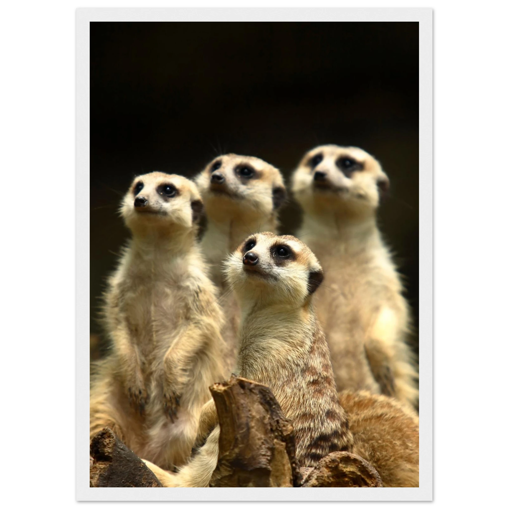 b7aaa065-5b4b-4d97-898a-881d2f9dc10b