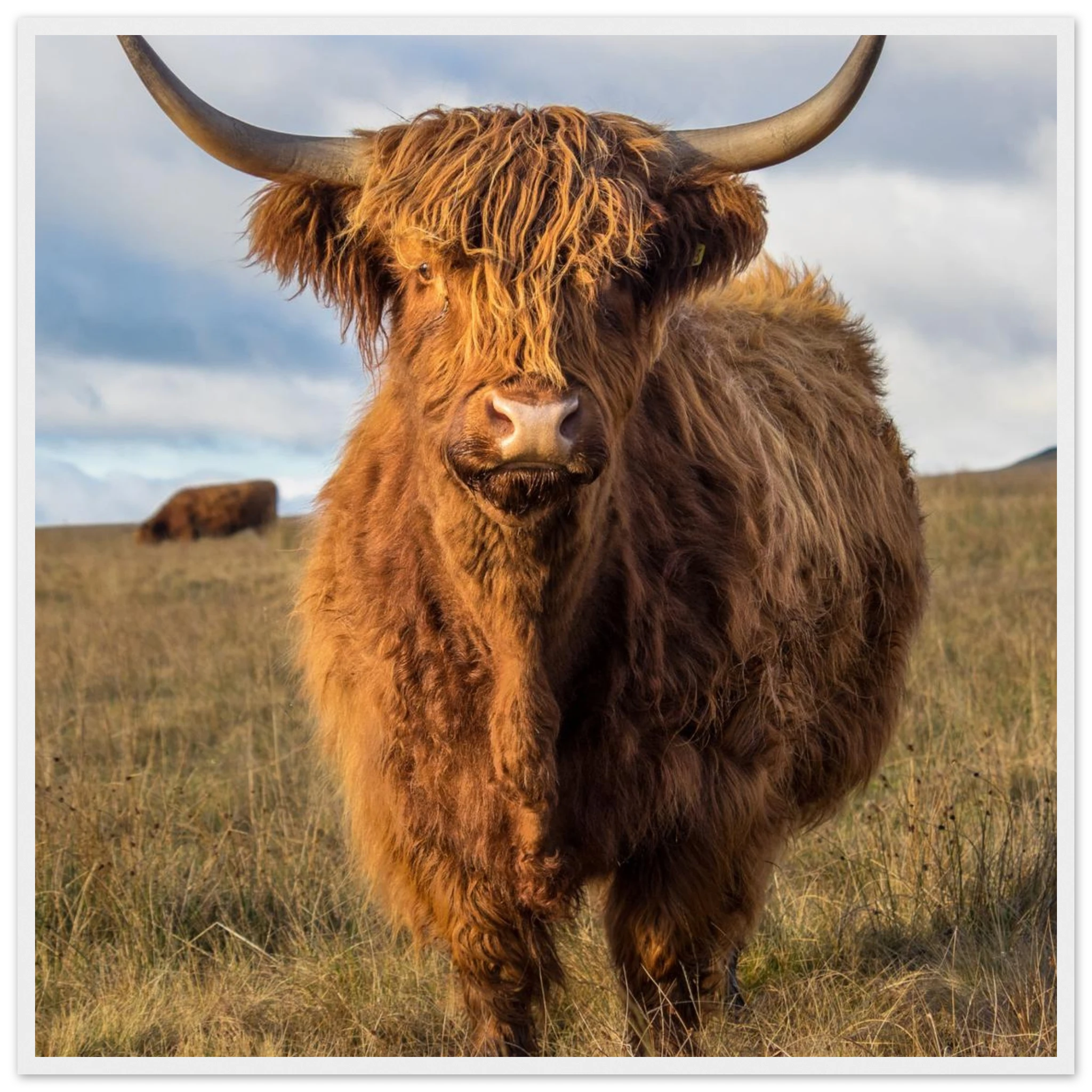 b7c16922-4a93-4715-8b5c-113c8d2b82d9