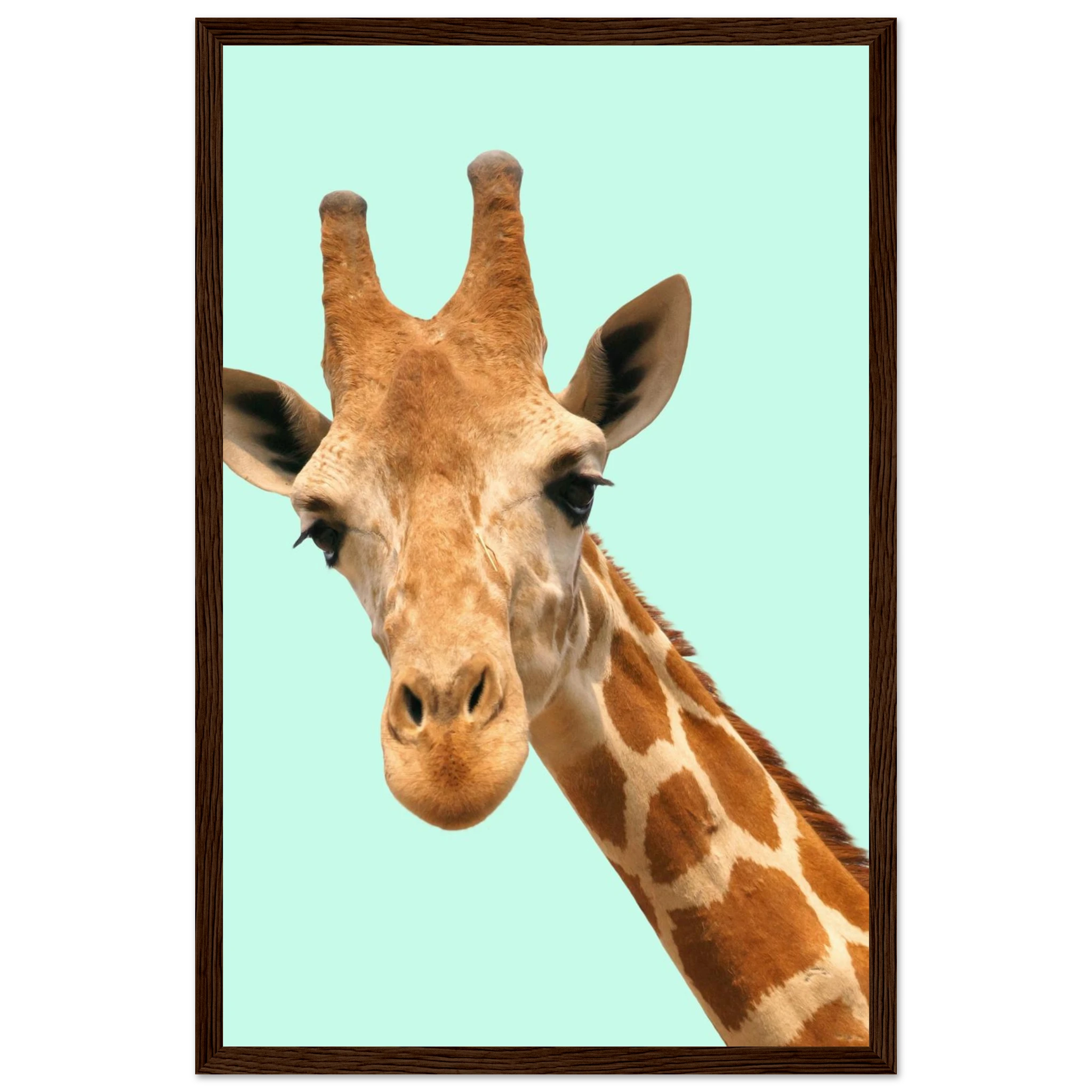 b7c8b1f0-6944-4af6-b99b-be63c2368387