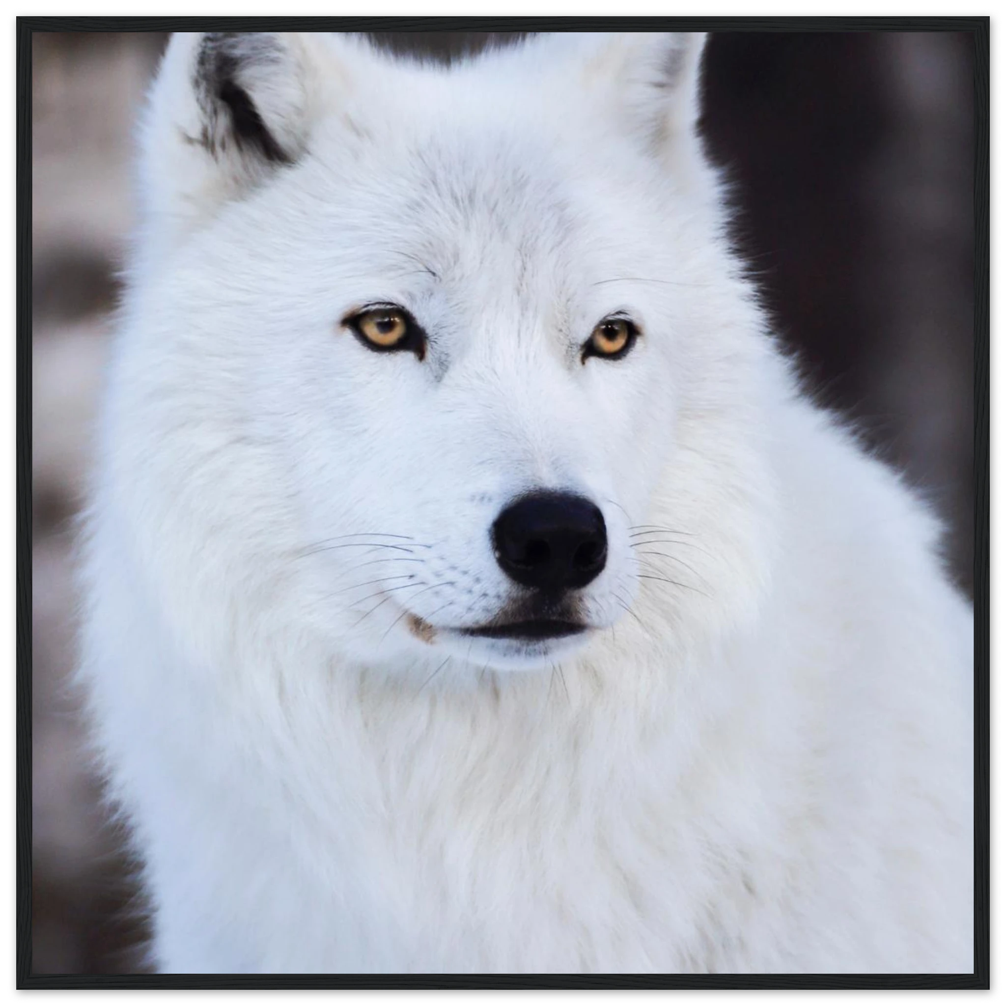 b7d8bdaf-169a-49df-8f66-9000f6453233