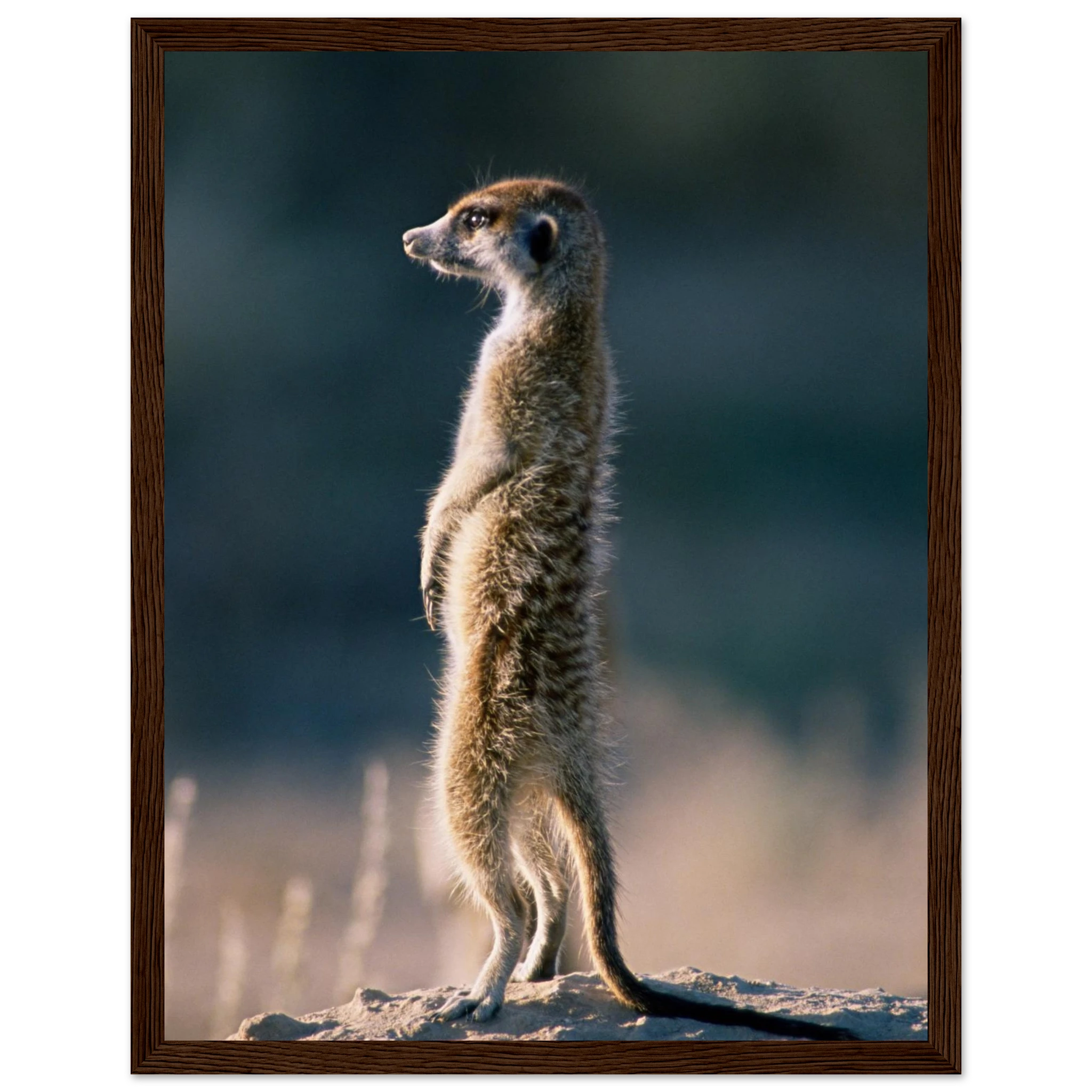 b7f595a6-42a4-40c1-b5ec-179714e6c595