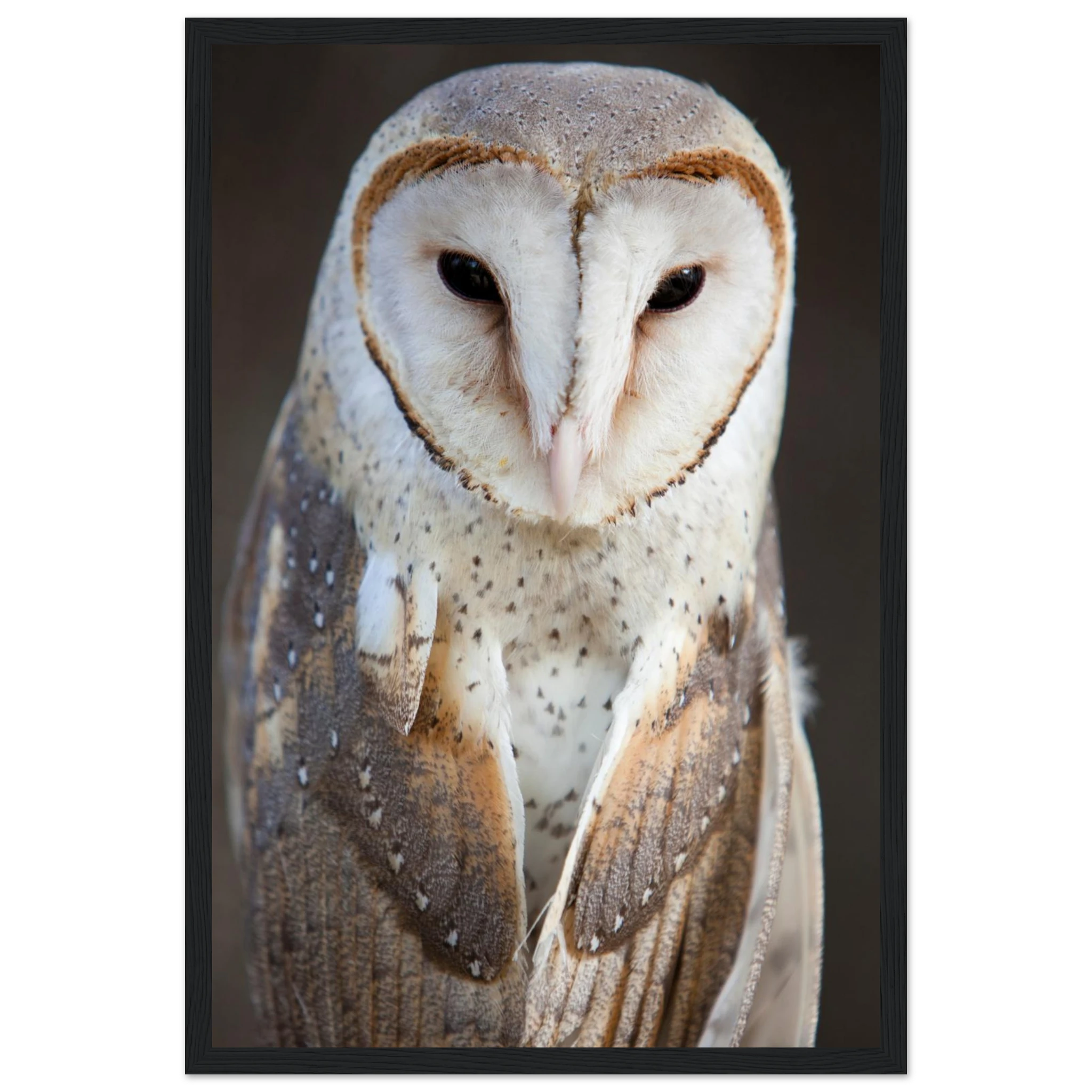 b7f5bd96-7dec-44fe-84e3-e43e662187e1