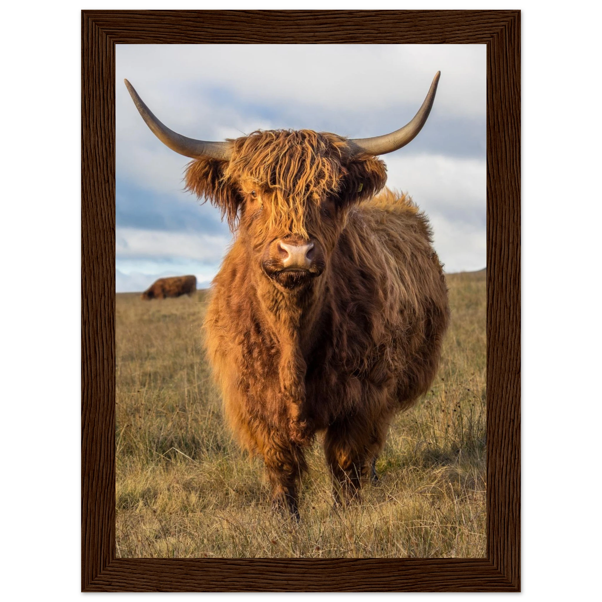 b8140033-2972-4ef0-b222-df8af88c57af