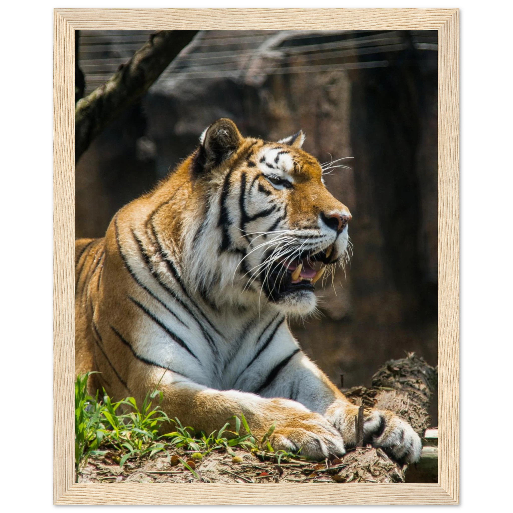 b82c5c3e-7ccb-4b6a-a59f-b869f5ffd856