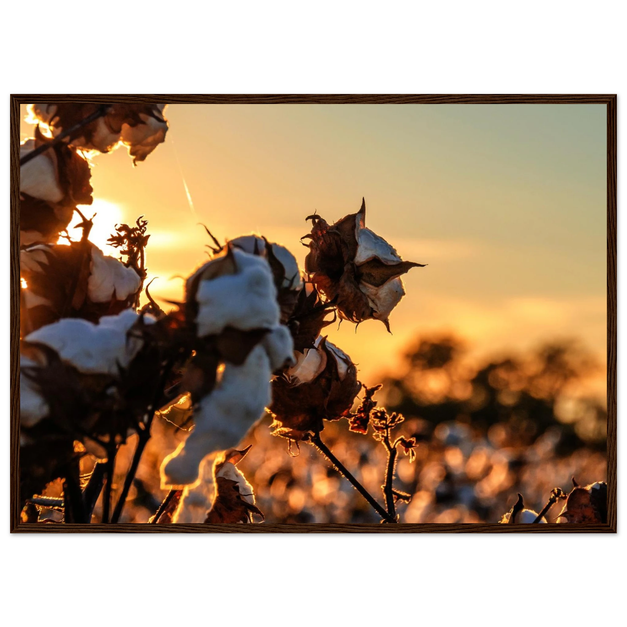 b8303736-3478-4988-a402-dd9cc29ee3f3