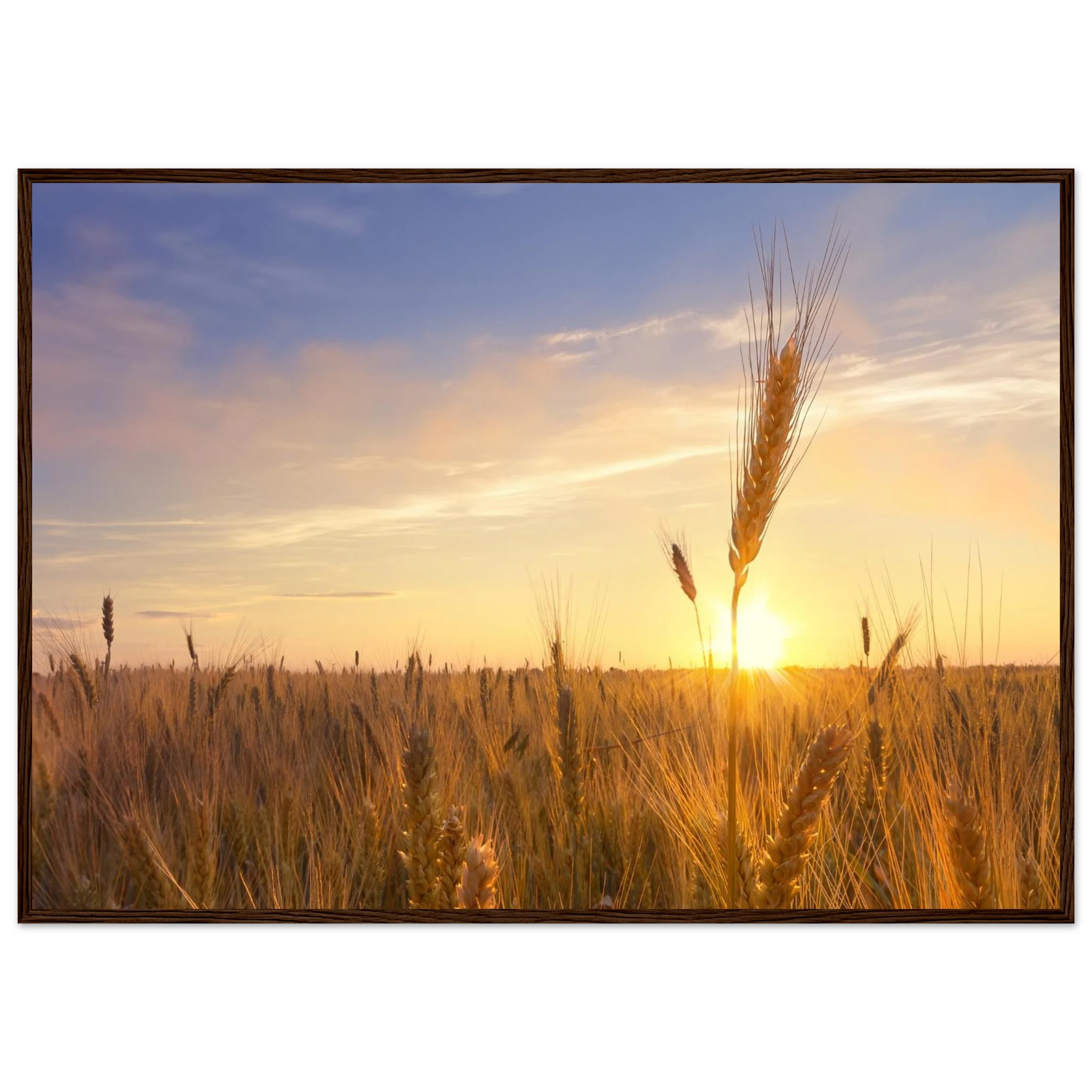 b83ba118-b401-4c6b-baa9-fec6837cb33a