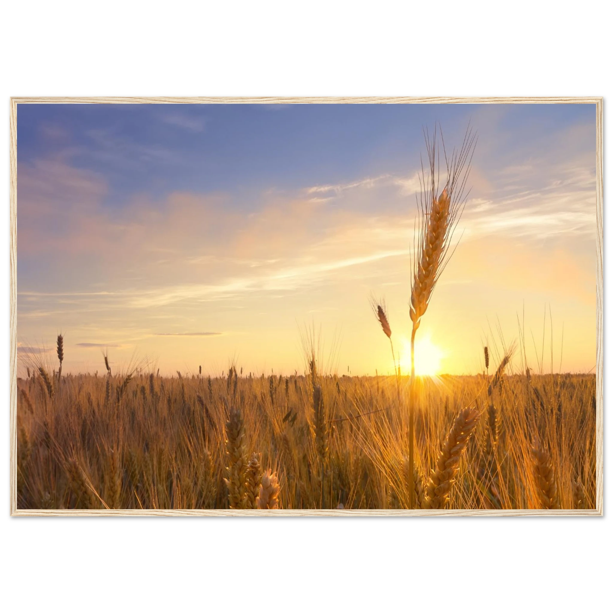 b84d795d-d7a4-4f2a-944c-06518cc7d71b