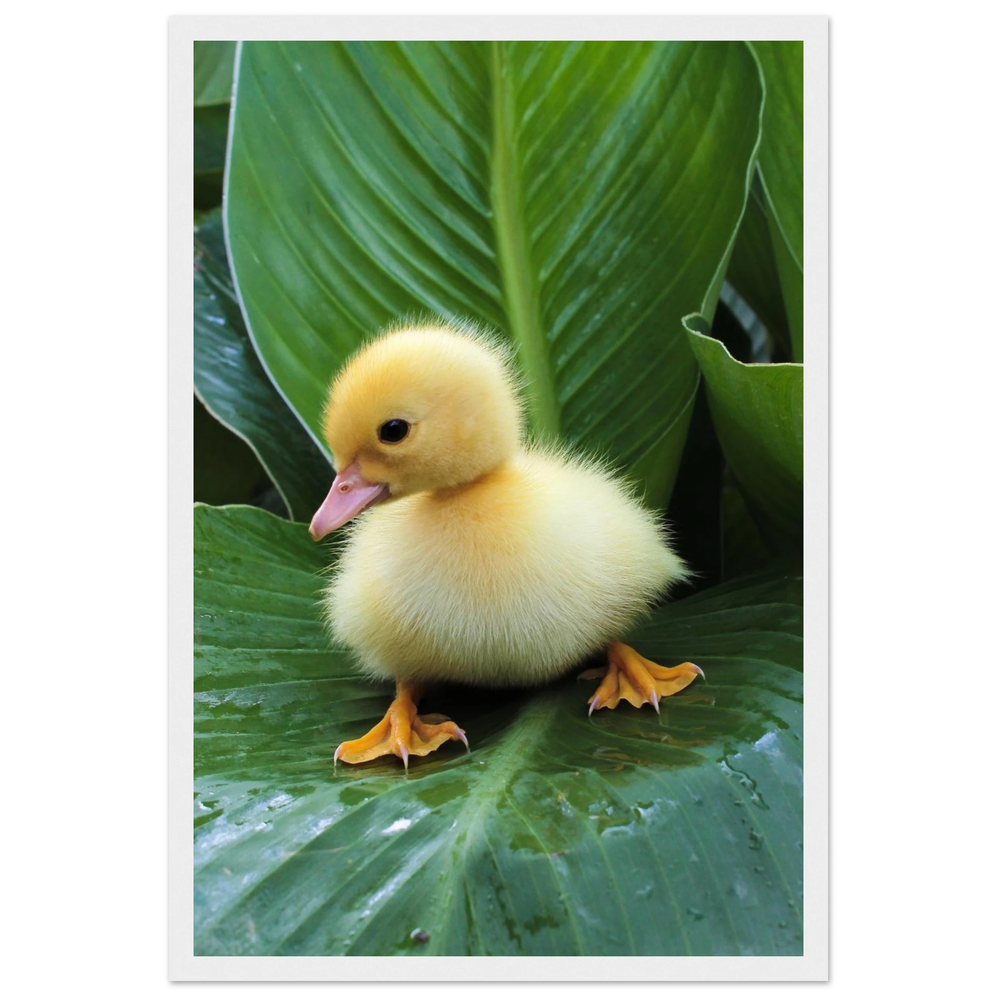 b84f0c51-3774-4424-907f-db05342bcf4d