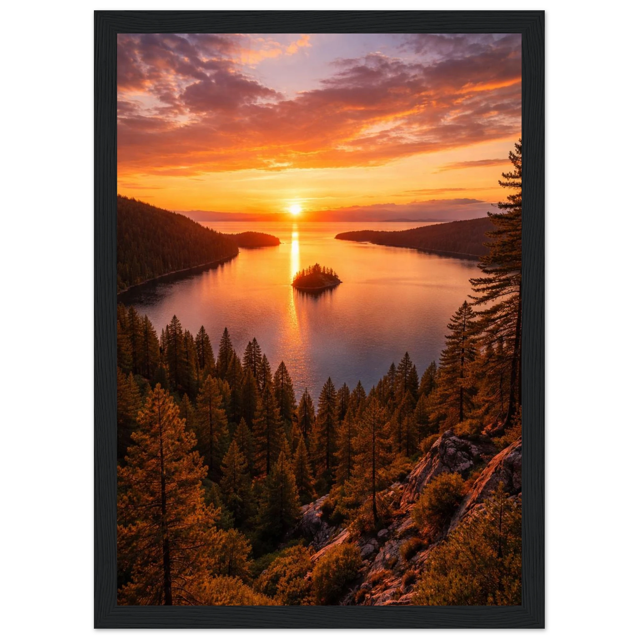 b85494e0-d948-4e5e-a288-d830514627e5