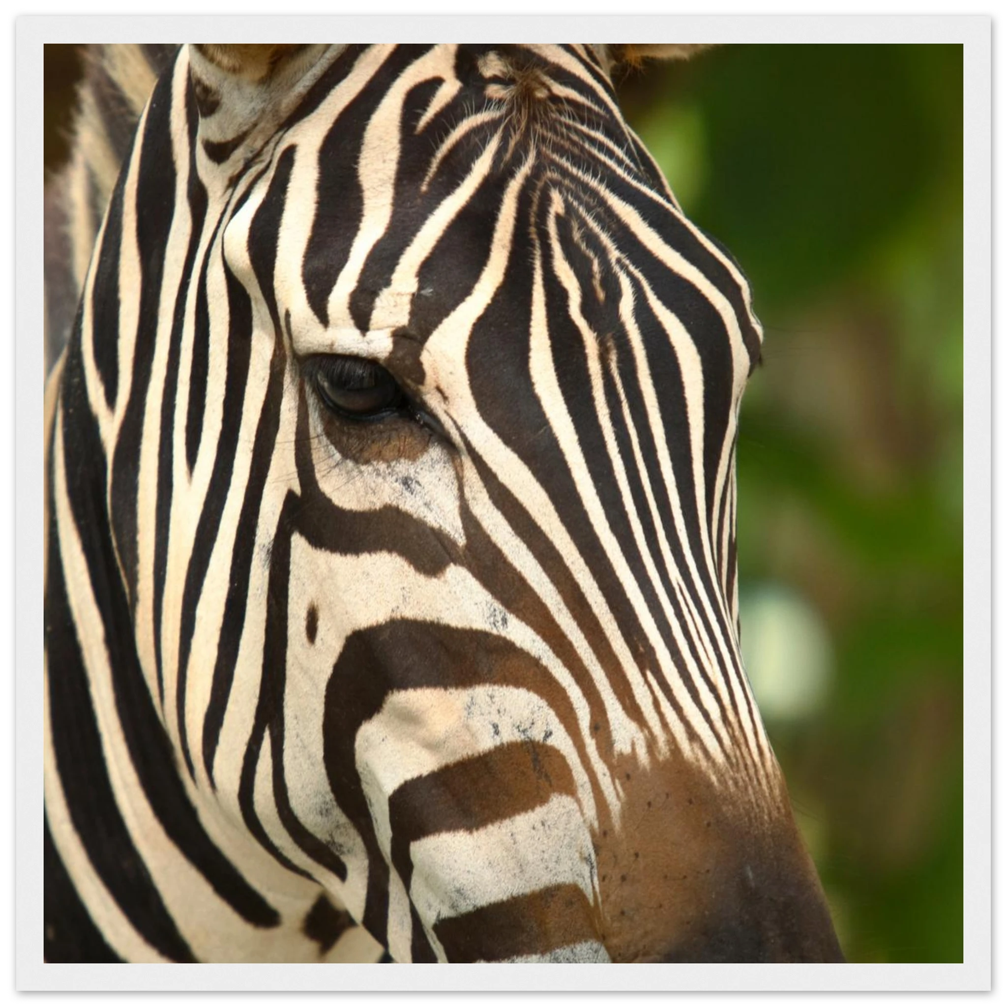 b870c923-94f5-4454-ab5f-efdc420ae9b9