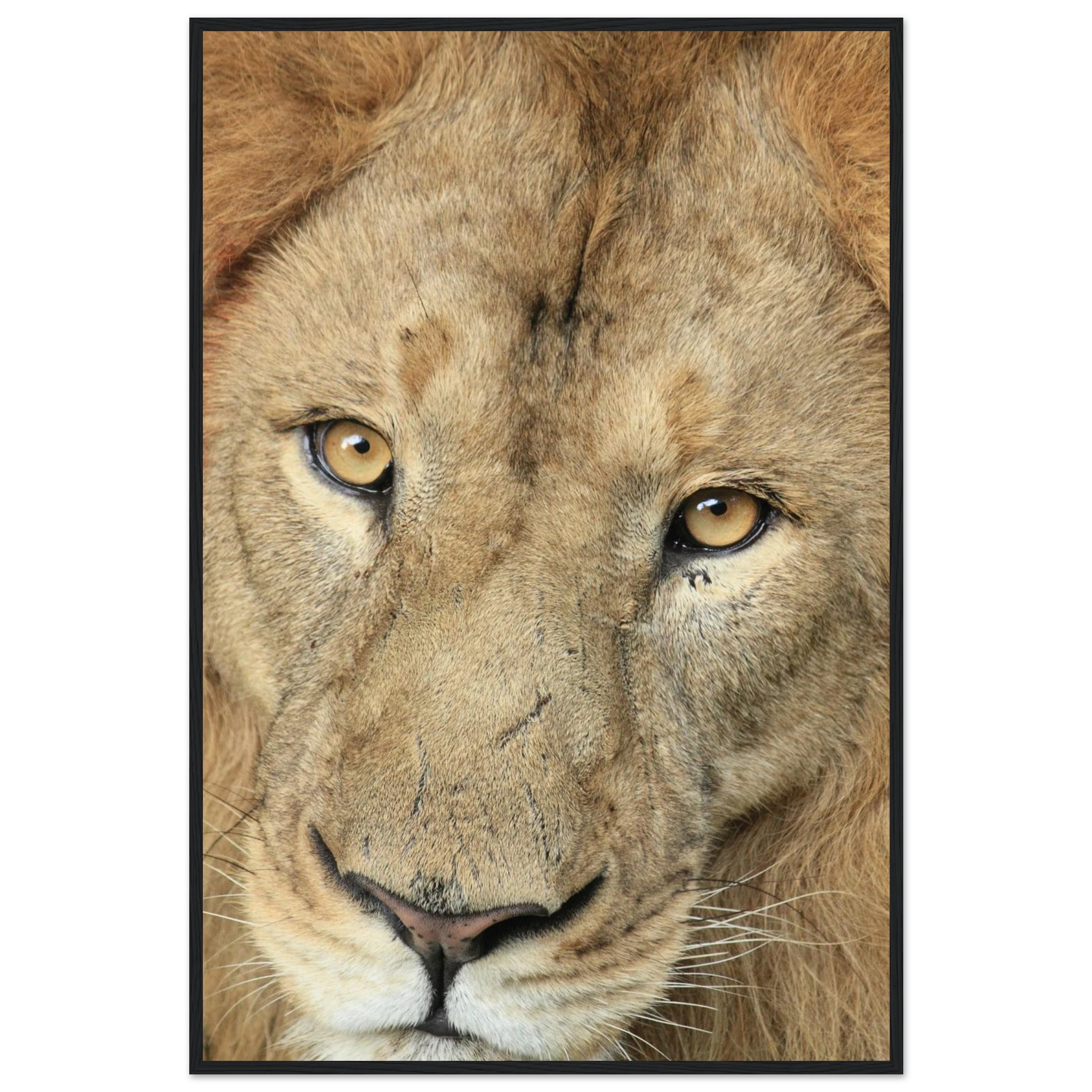 b875b77d-4e41-4daa-bfec-235c4ba95a1f