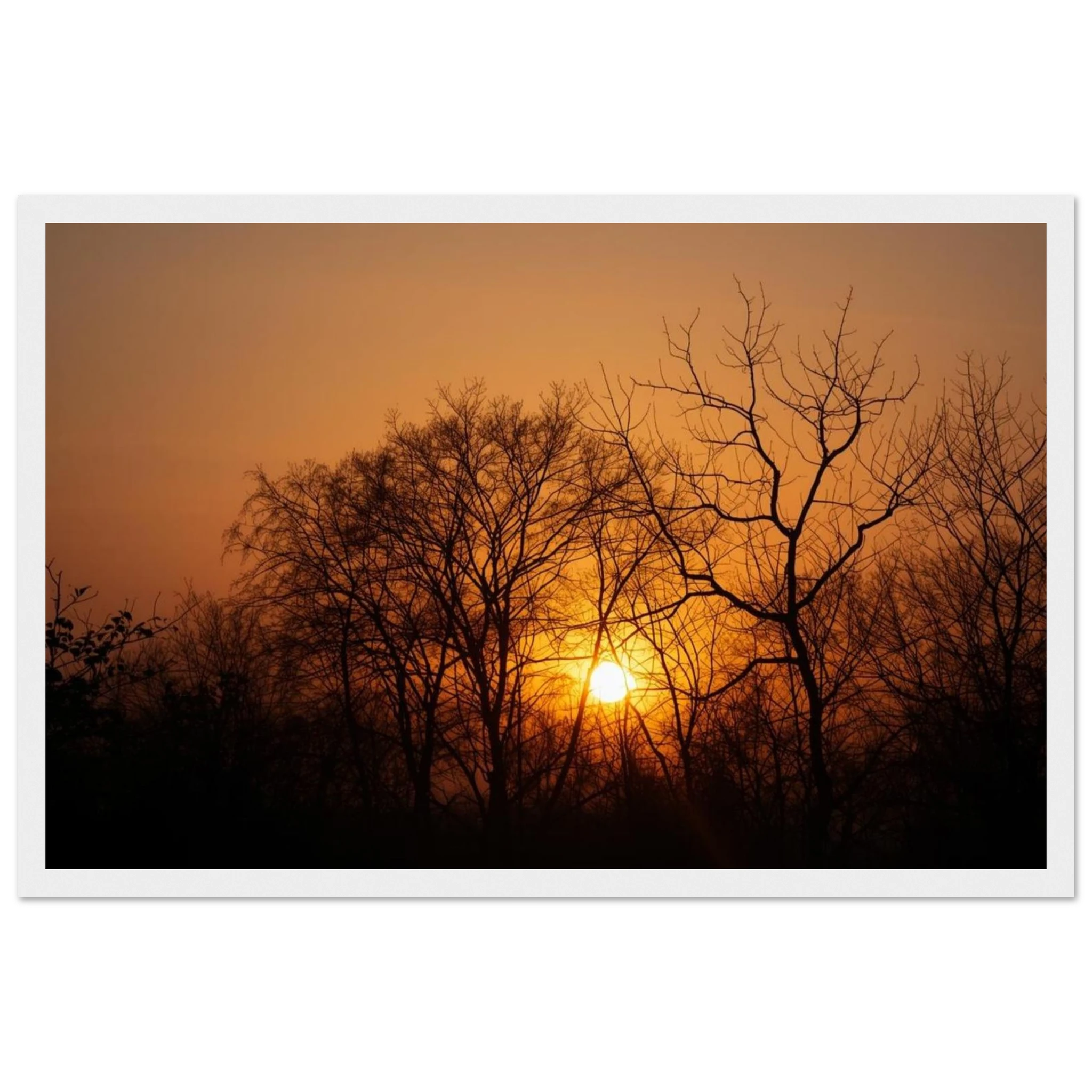 b881a9b6-db5d-40fe-a2d4-7615260830ff