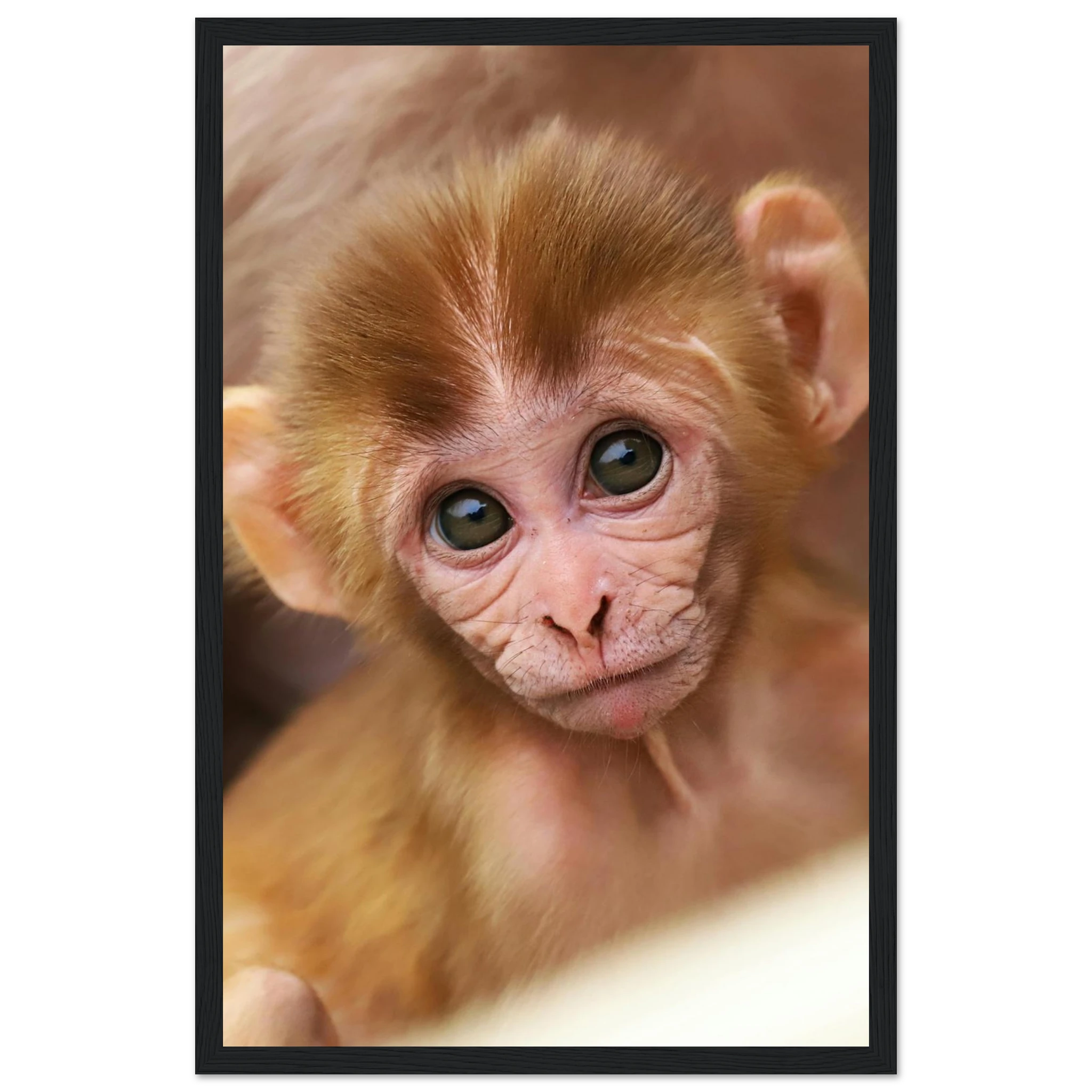 b88d68a3-122f-4136-a7dd-565db928f249