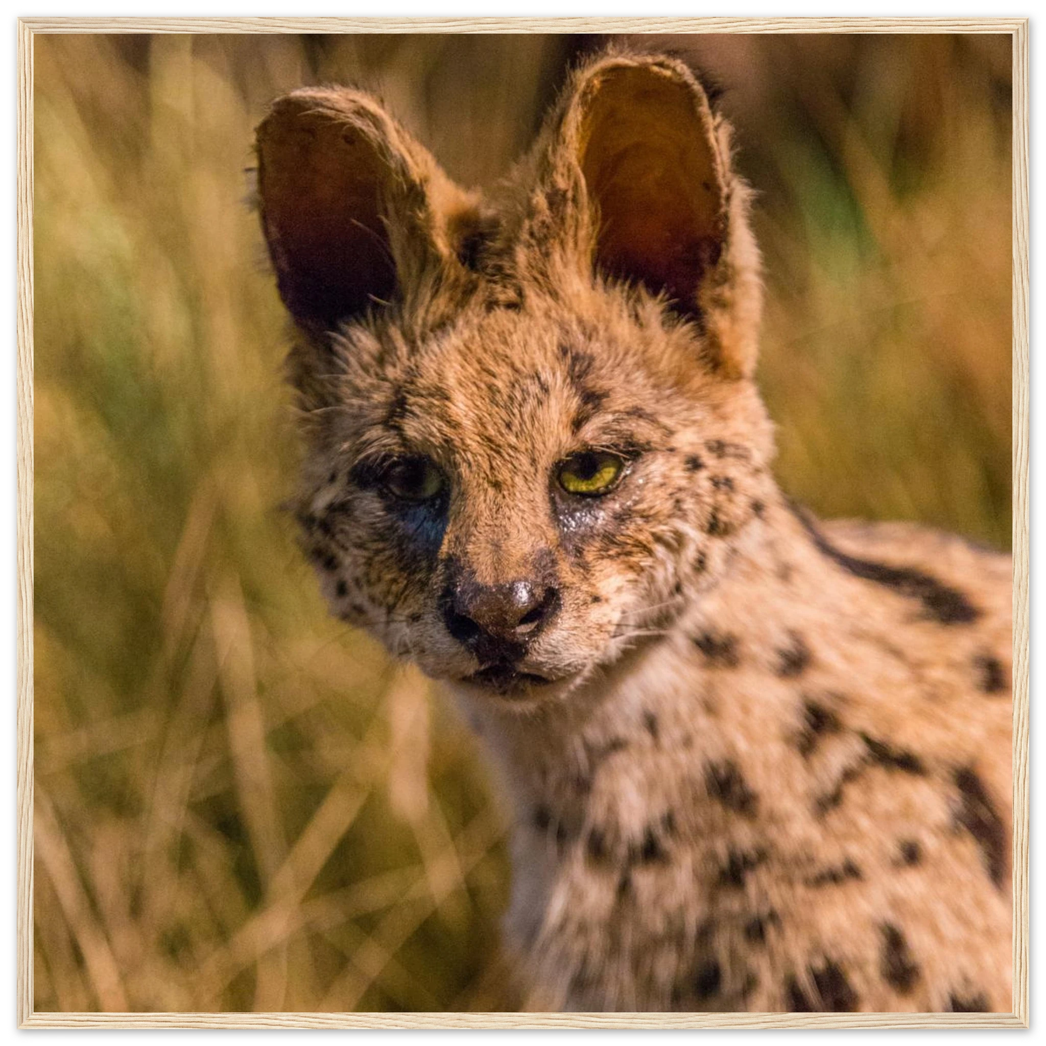 b8b4e306-0767-4921-b03c-ca90641c068e