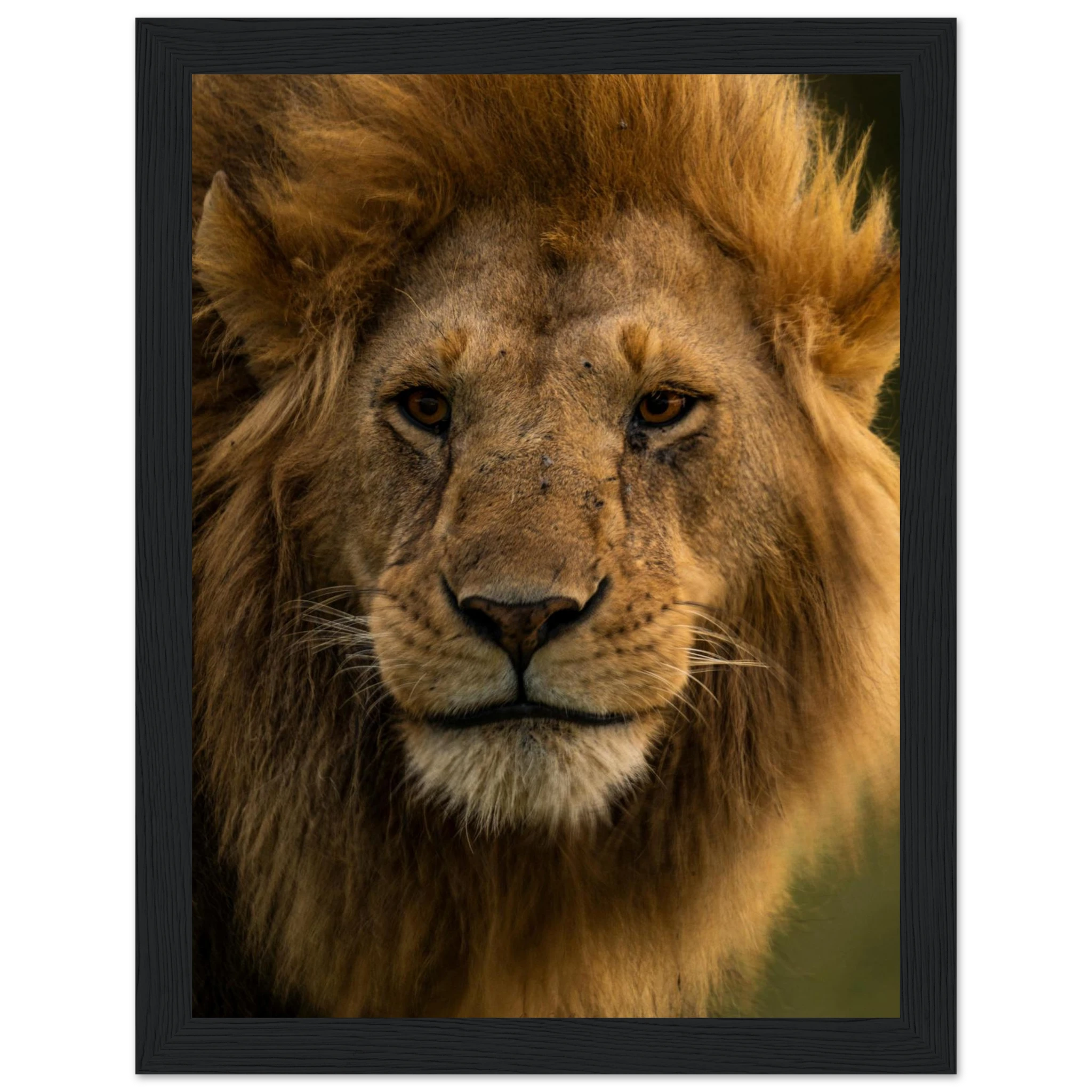 b8ce828c-c269-42d5-ba87-9fef744fd176