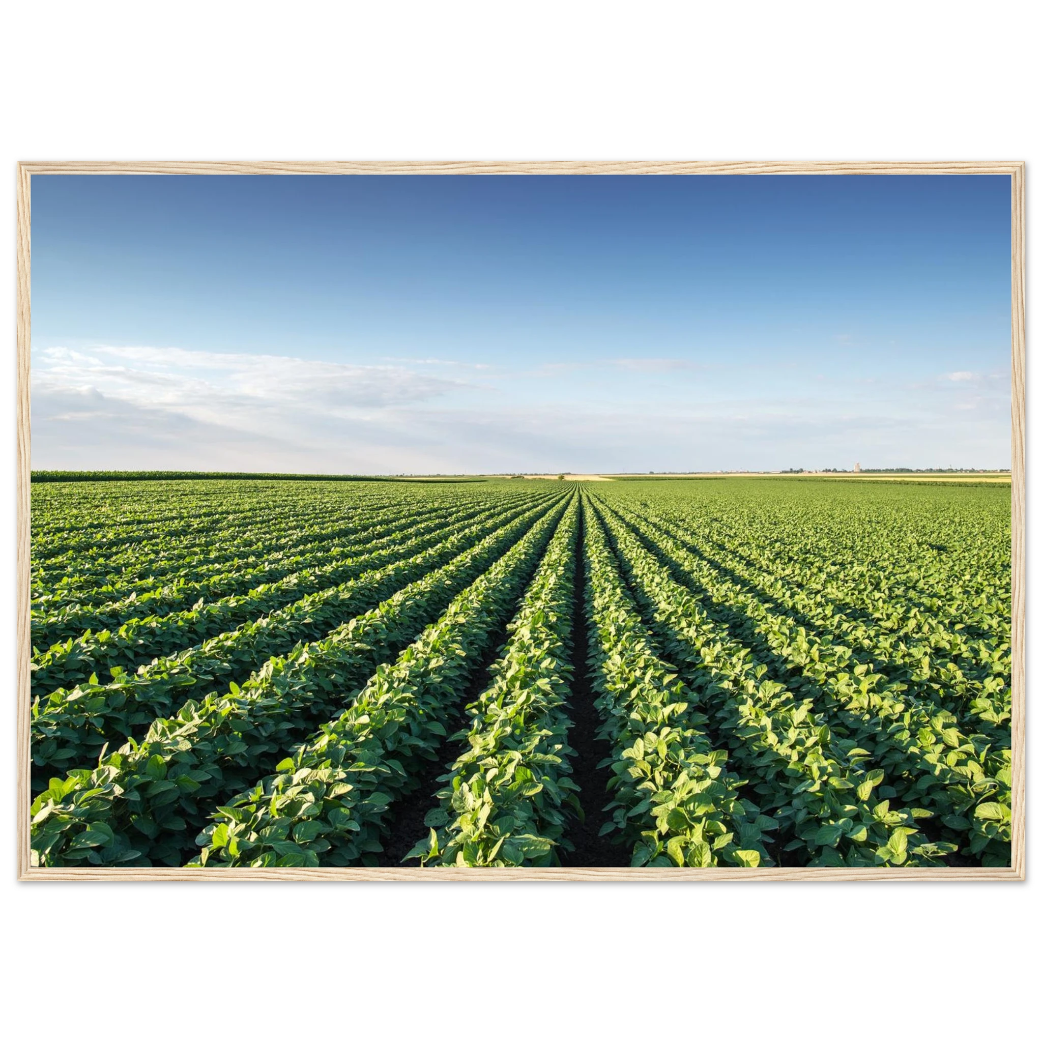 b8ddaa41-c59d-4668-ae4a-ffc0a066fe6c