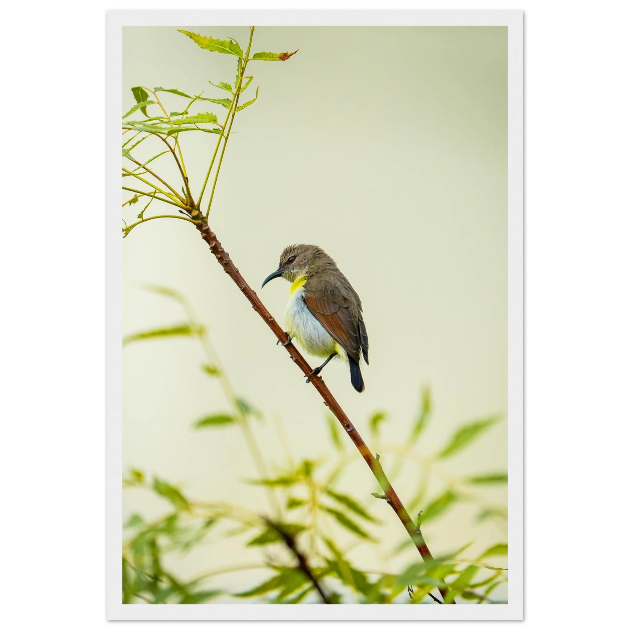 b8fca805-3a13-438b-886d-f3d4ca980cb7