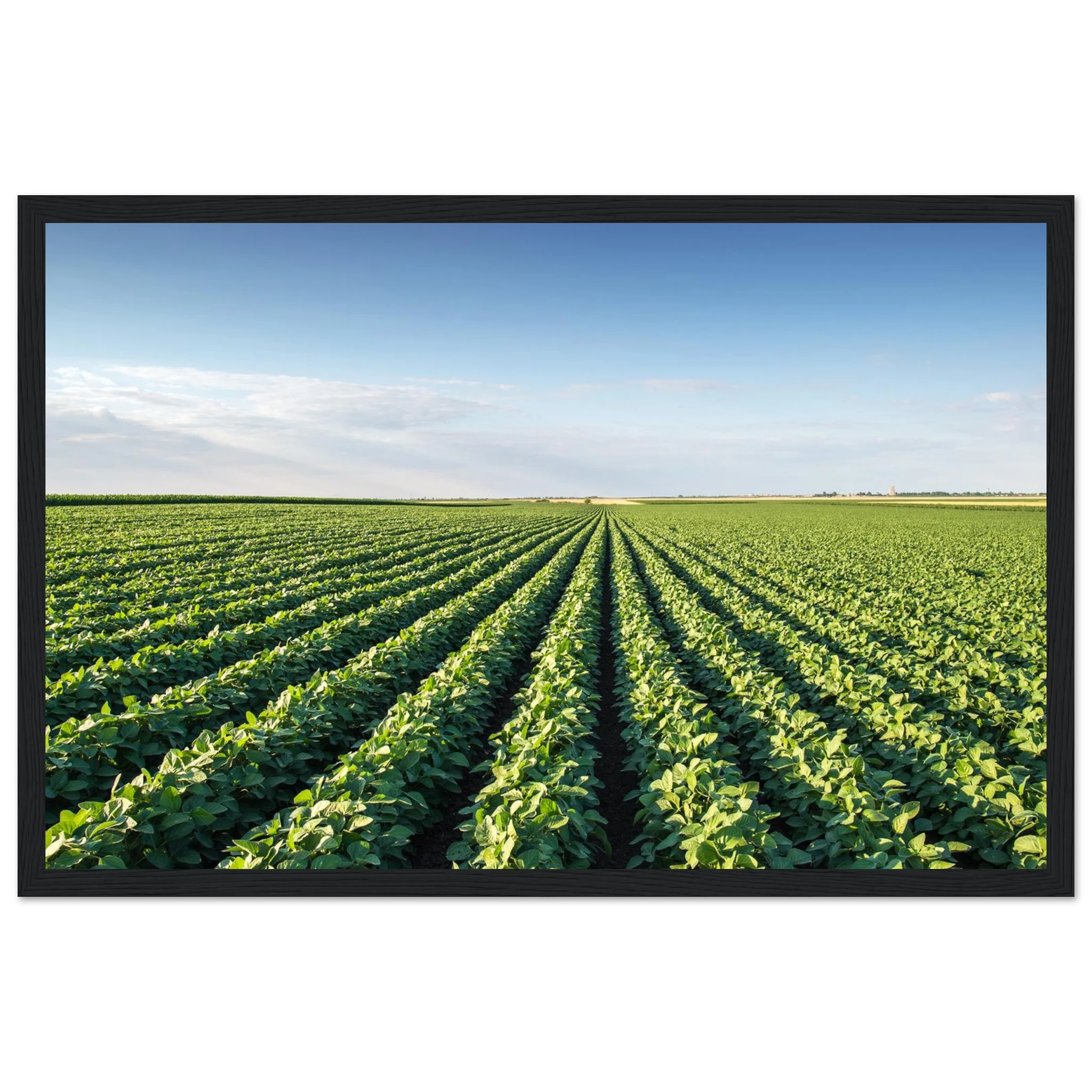 b90ea03b-7aa8-435a-a1ad-7f282d26e0fa