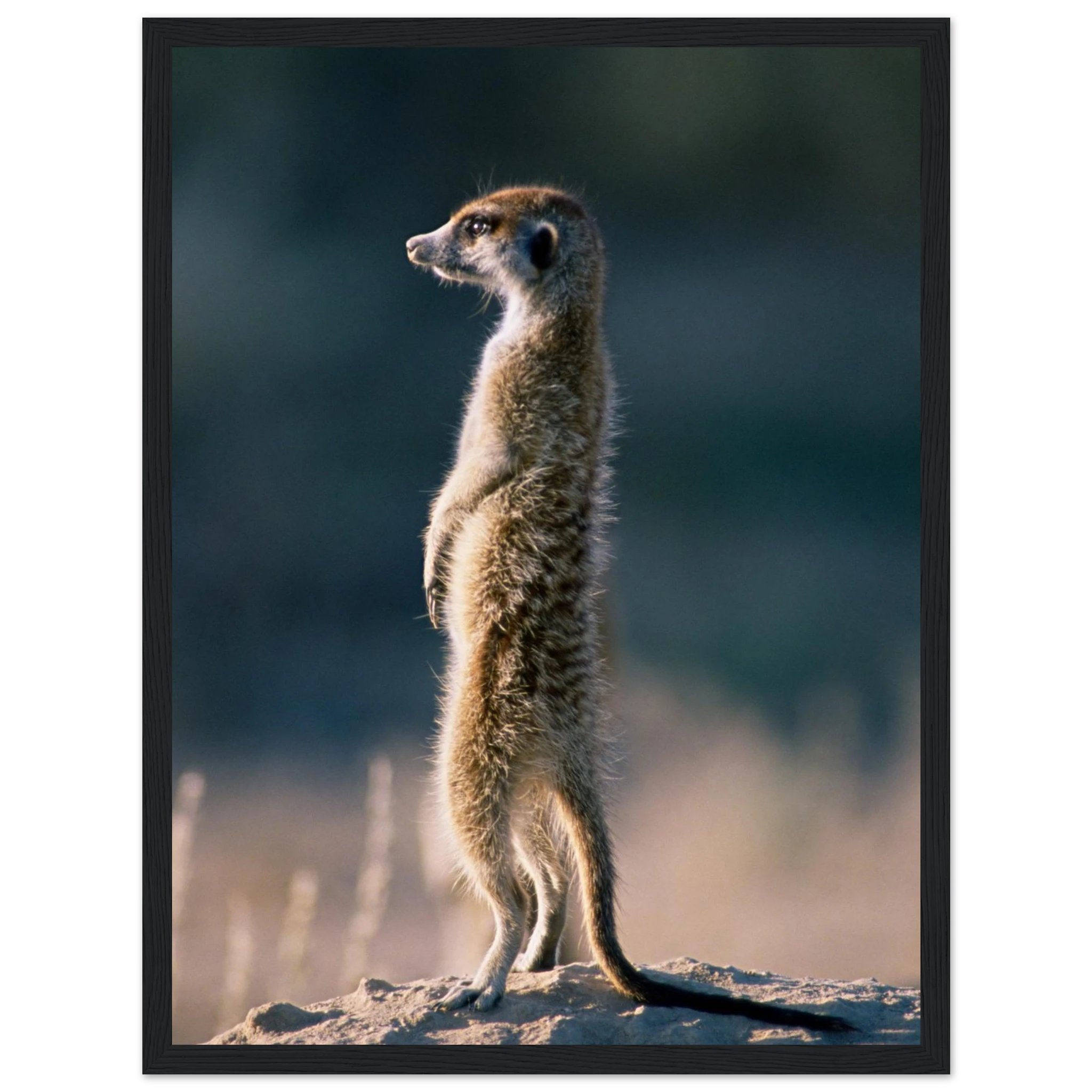 b9207b27-6abc-419c-90c7-6353d97070c7