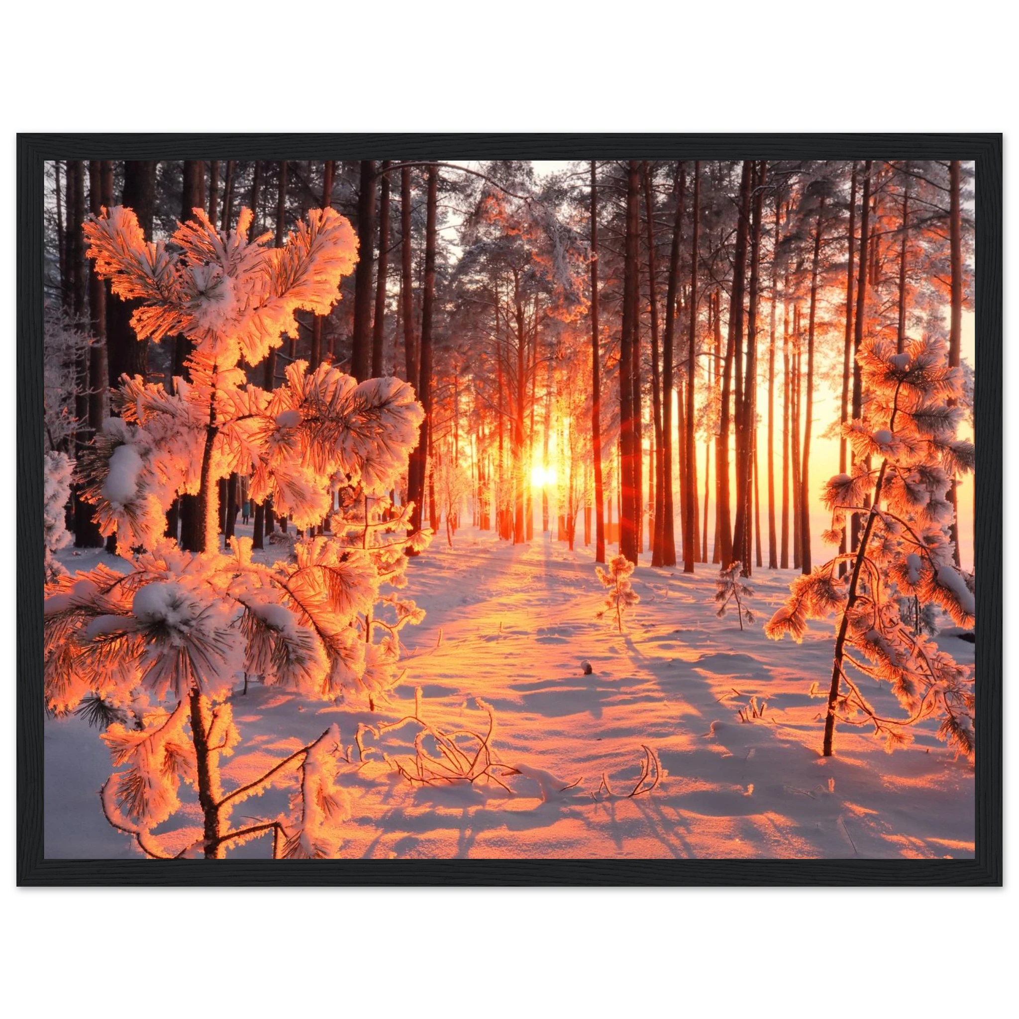 b950ba7c-06ab-469a-93a0-b30ef1a83b71