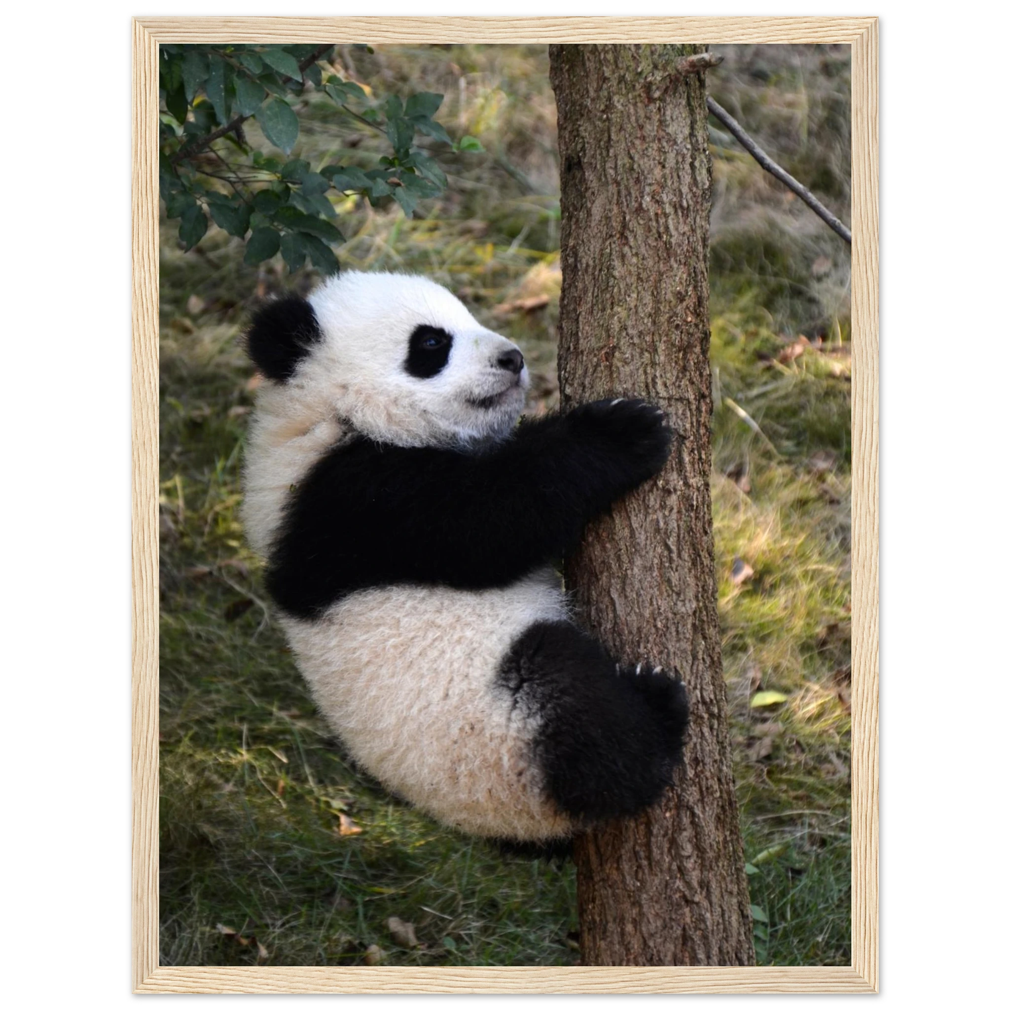 b95ccf82-0dfc-4c3b-9a52-0042a481251e