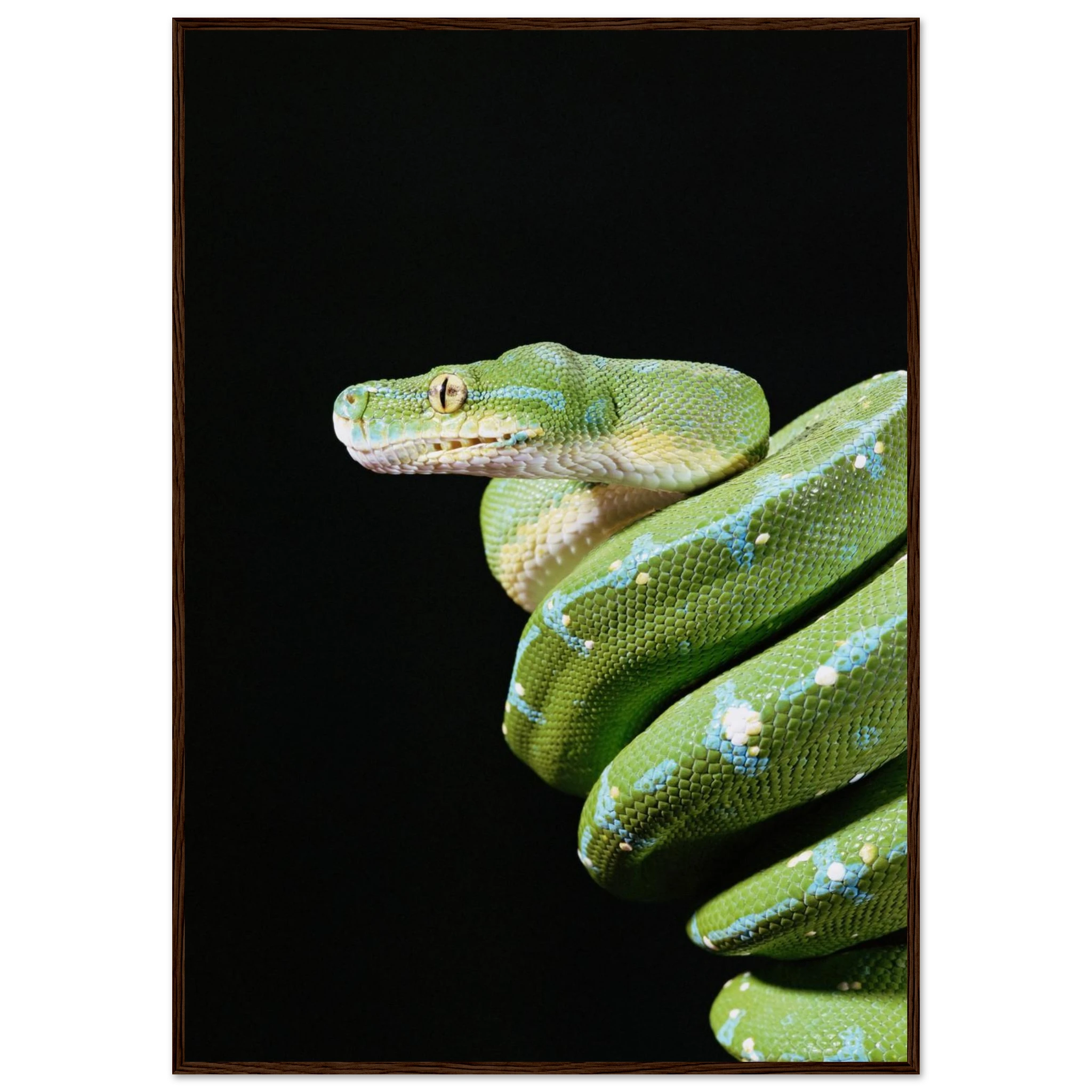 b961225a-be67-4121-890f-770e33f23fa3