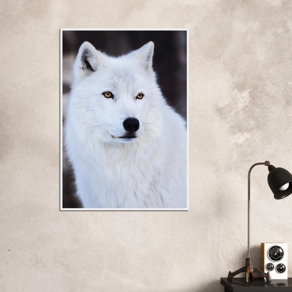 b990ff34-3640-4d1a-a2b8-2bf2a4c7da3d