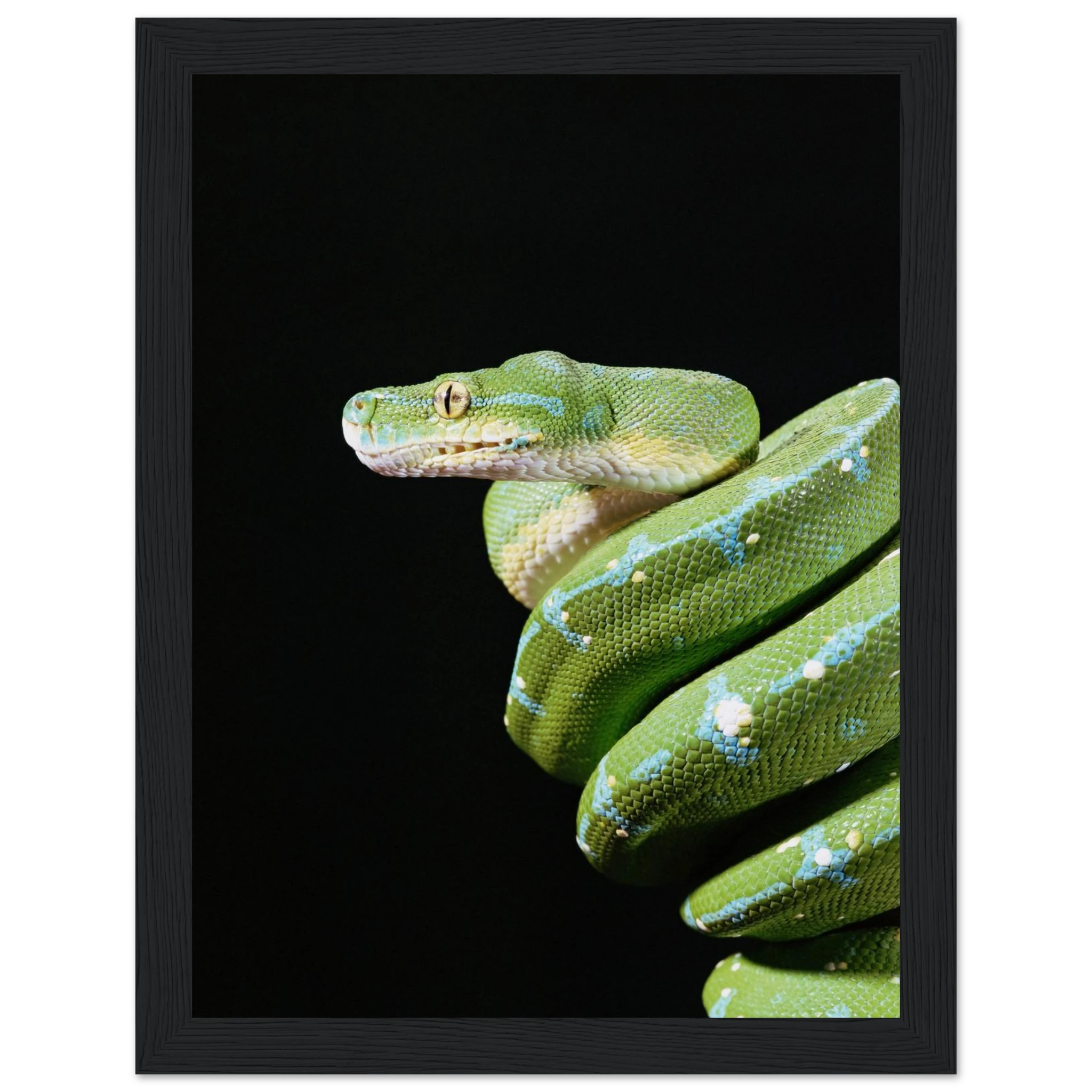 b991b1de-0e84-4d03-8573-0dff0a104c86