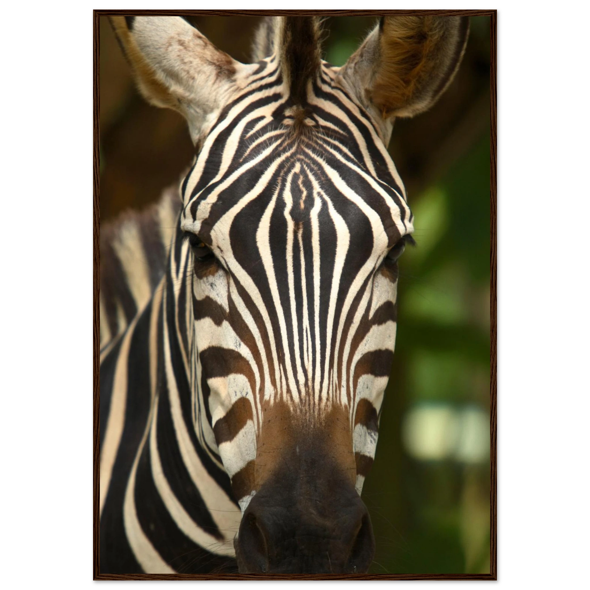 b9994c69-bf80-4fad-ac6b-b996d1675d96