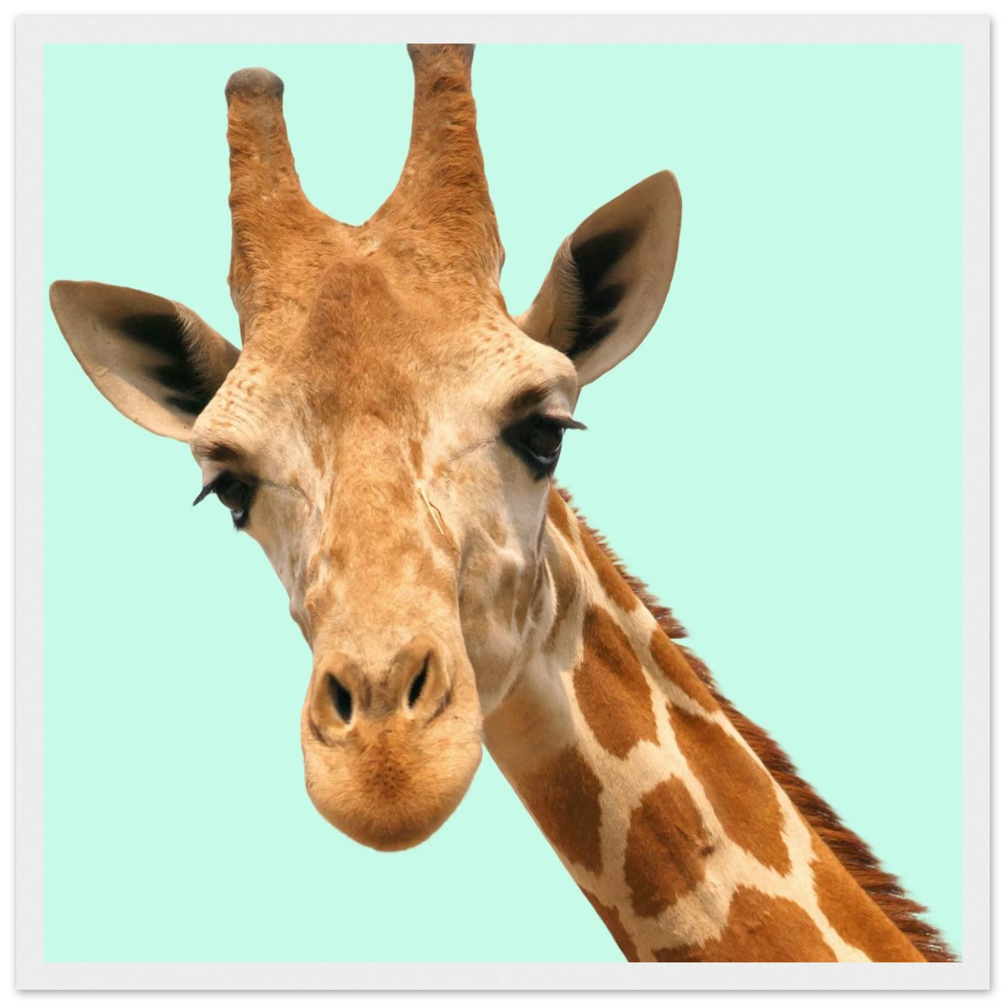 b9ac3597-6e57-441f-99ae-7927016c6e0b