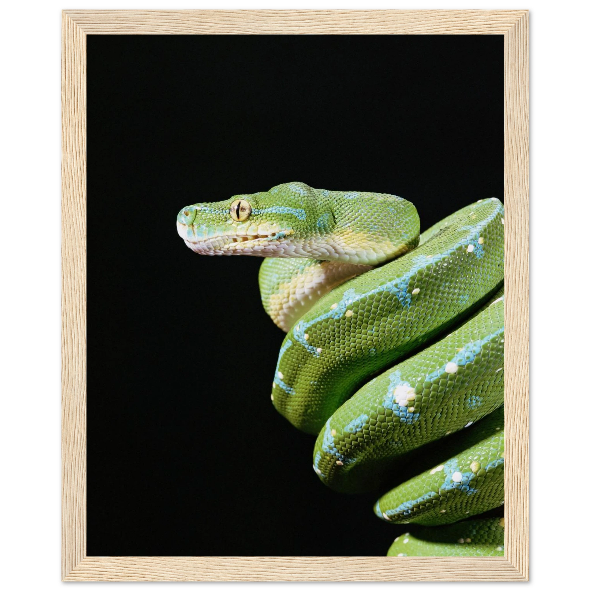 b9b643f8-06e8-45e0-ab3b-1b788fd53e9e