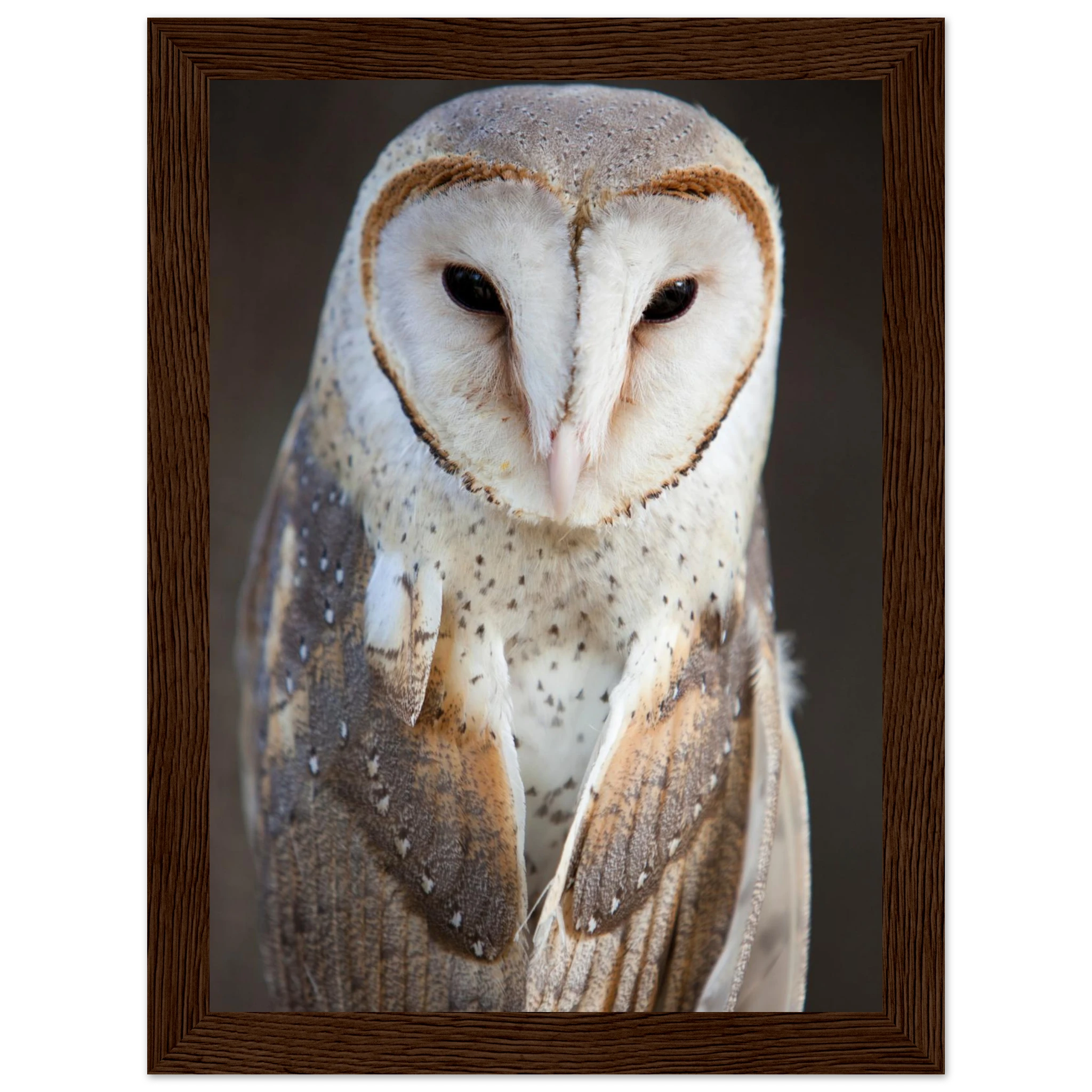 b9bb6f39-2a7d-4b55-a9fb-0c0c952b2700