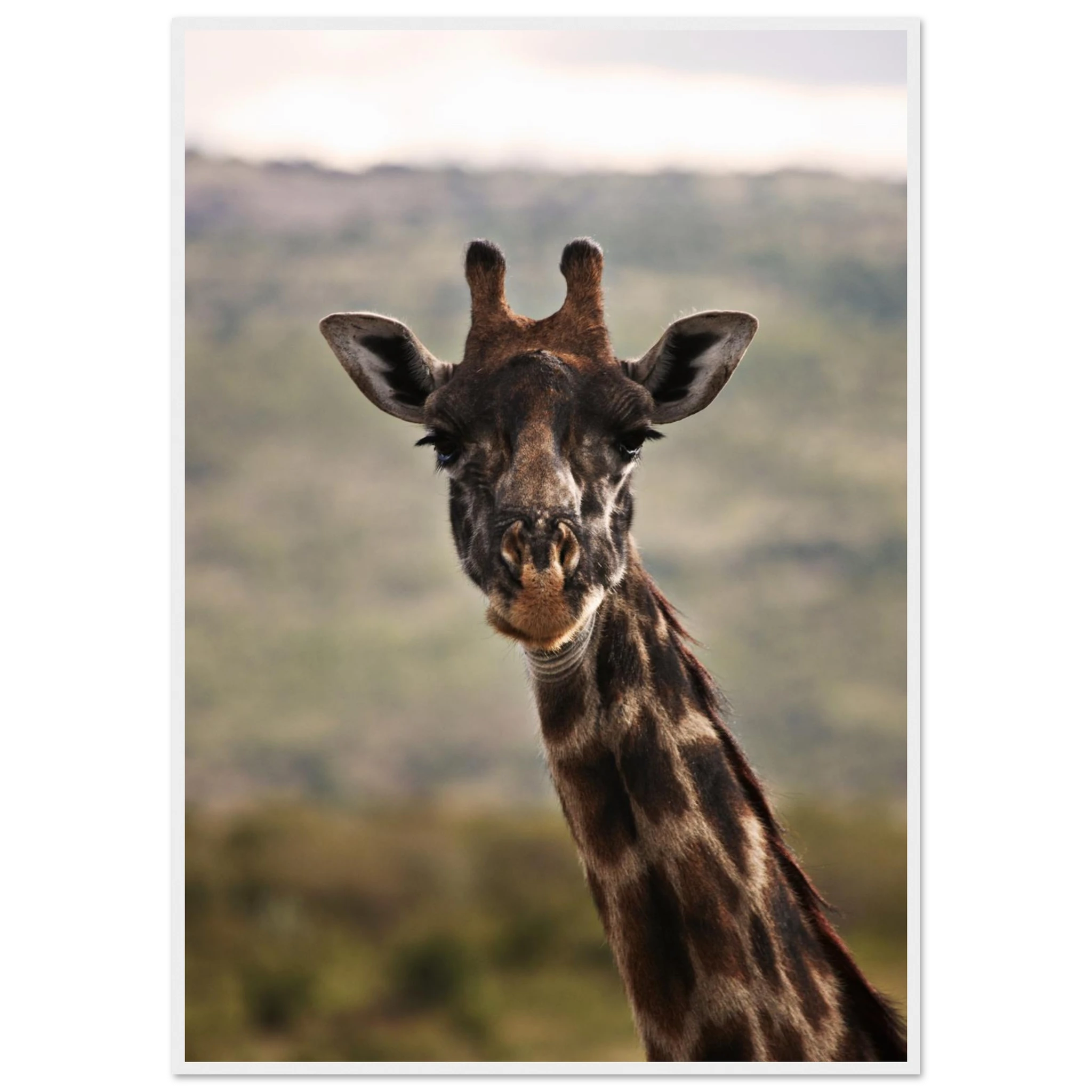 b9d738ca-4016-445a-8b43-fa3744dfe584