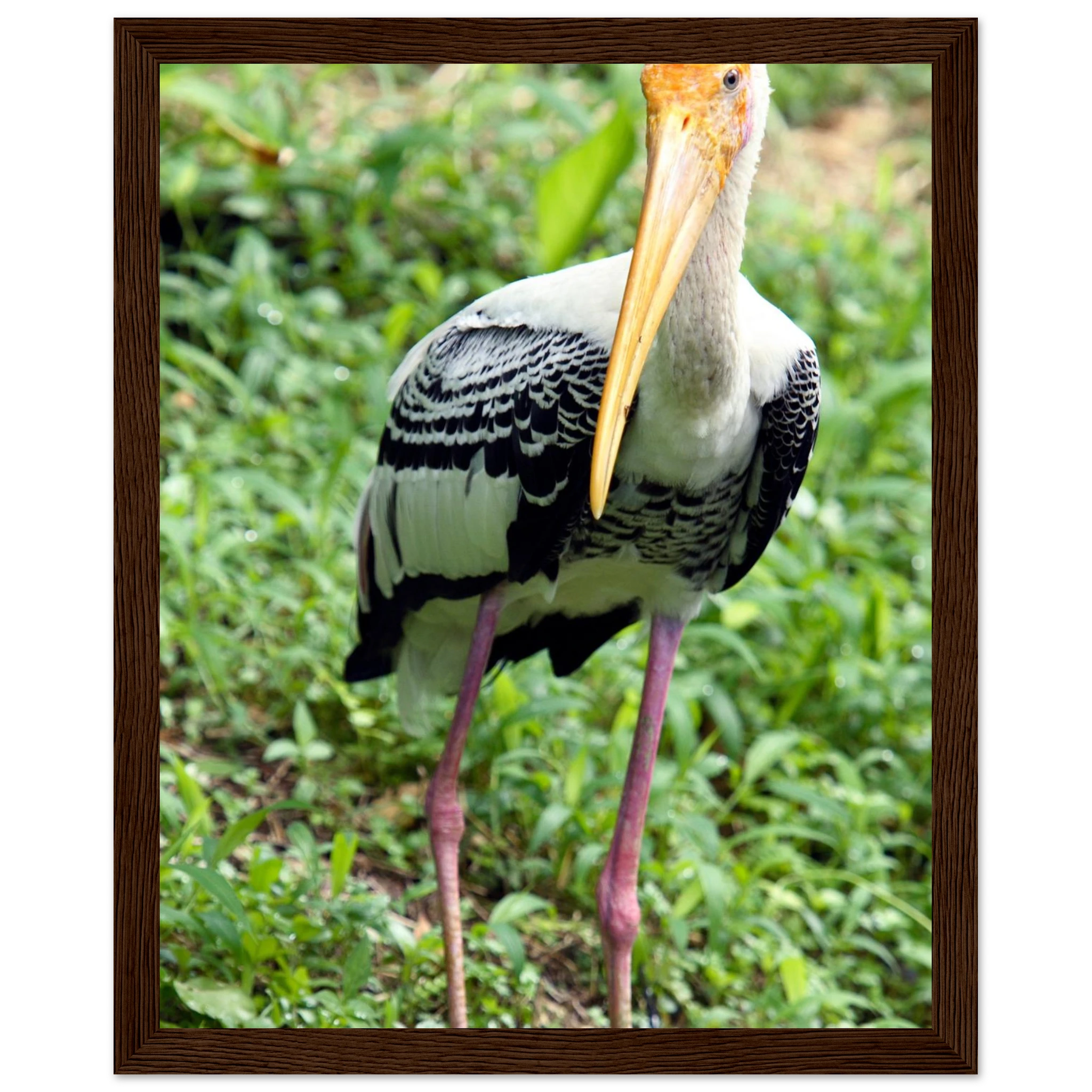 b9e9d5b3-bf63-4e09-bdbb-abef4a751caa