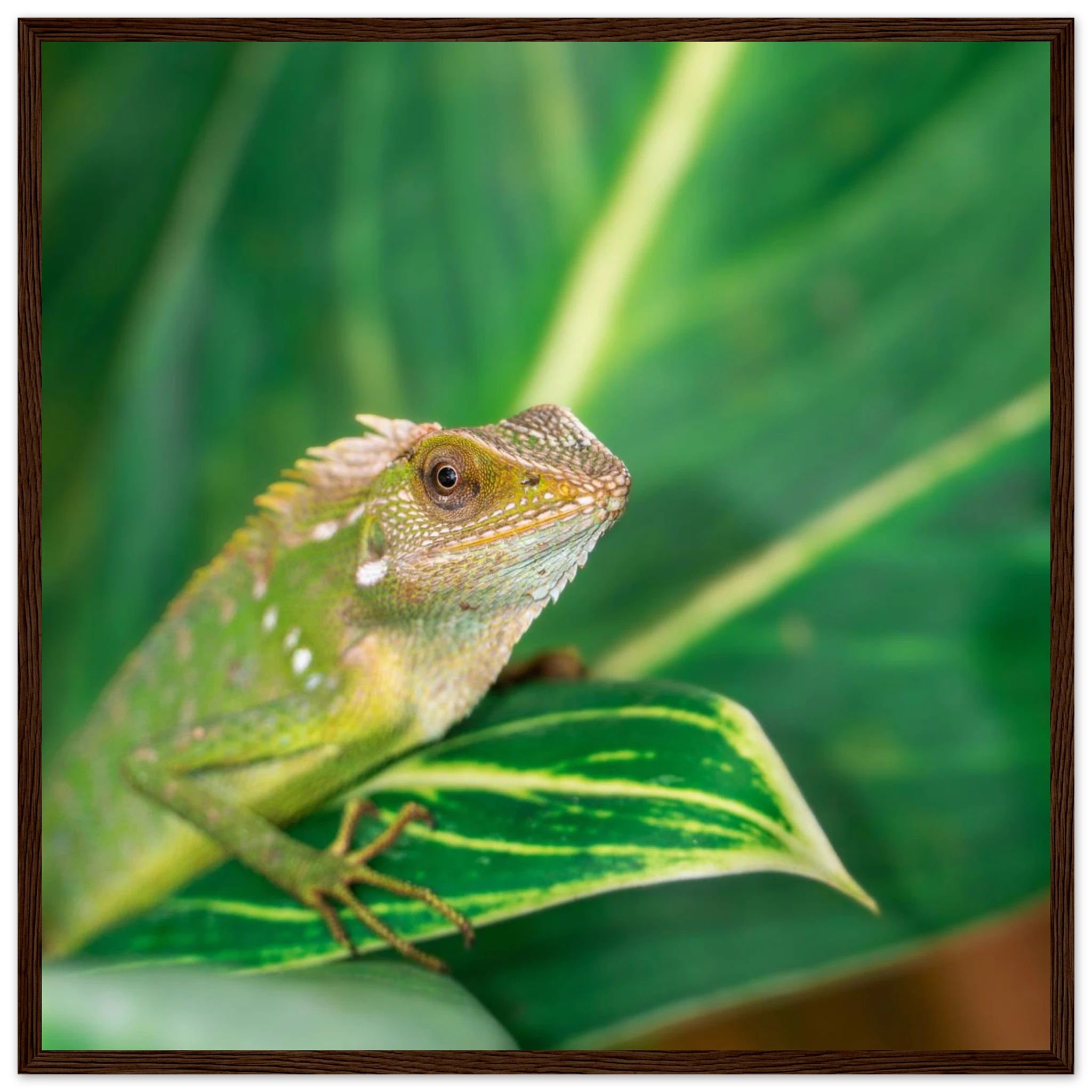 b9f51350-645f-4d7a-8d34-87922b3f15b5