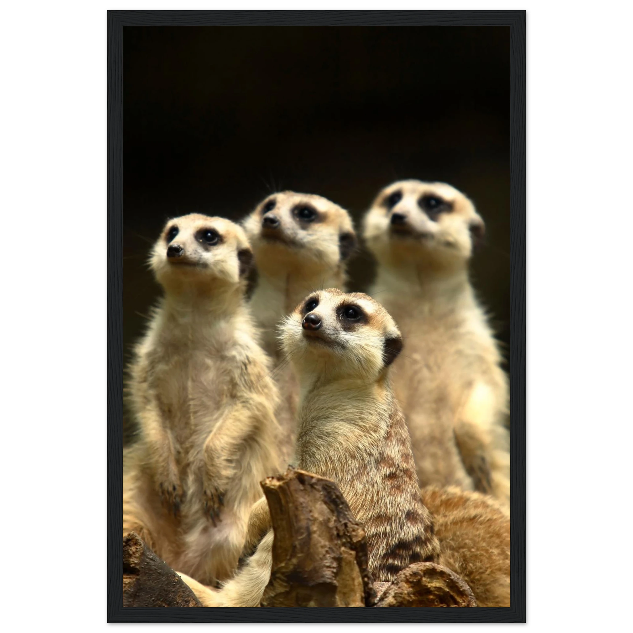 ba0f9bc4-b4ea-4ff7-81d7-0a8a39d1ecc9