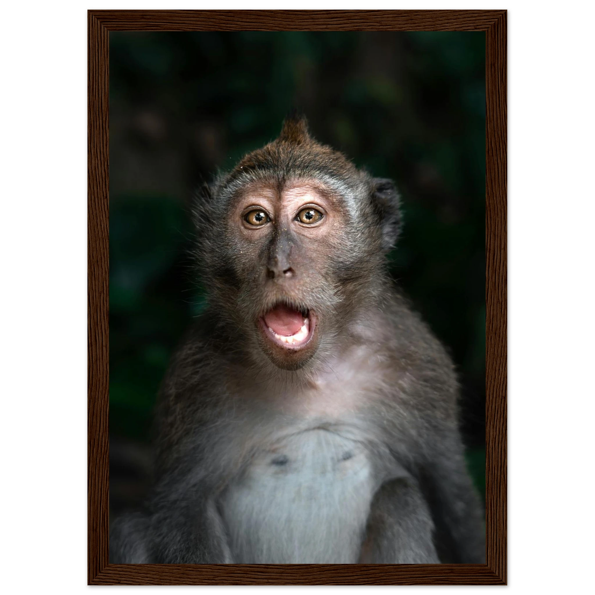 ba14ccba-cc13-4238-93ea-569f84149443