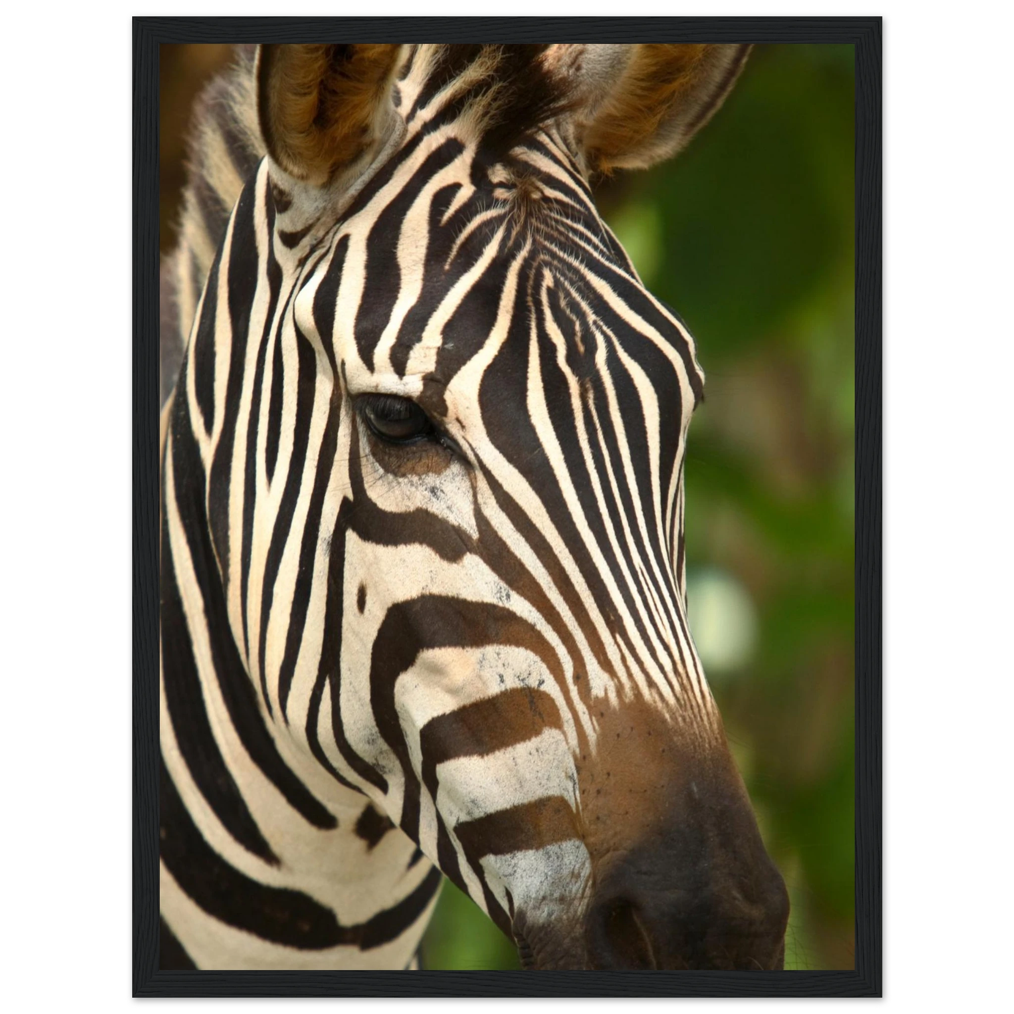 ba2b1a18-d4f8-4f5a-933d-230a02885d17