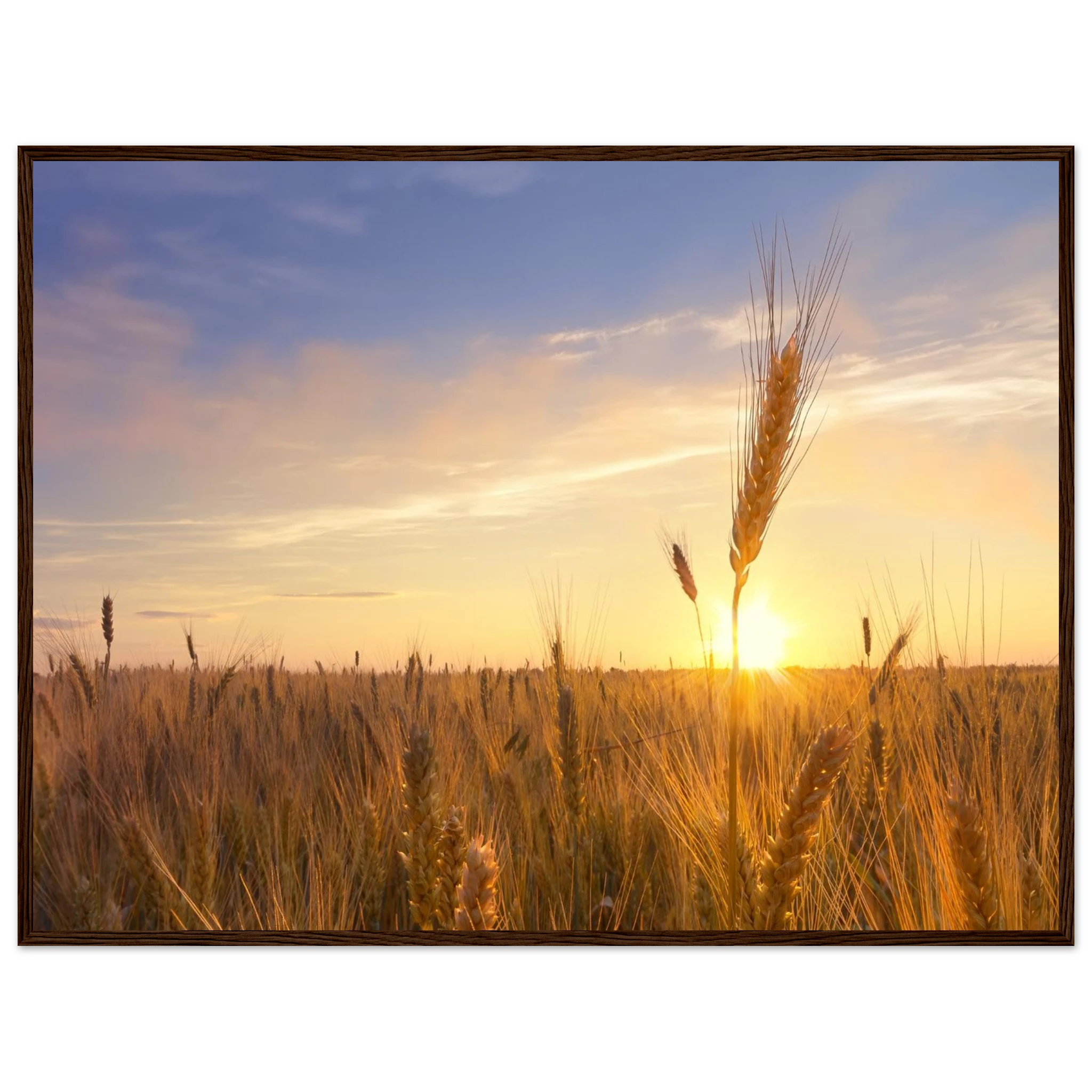 ba31f76d-83c9-4747-8877-26ea14dfb9d4