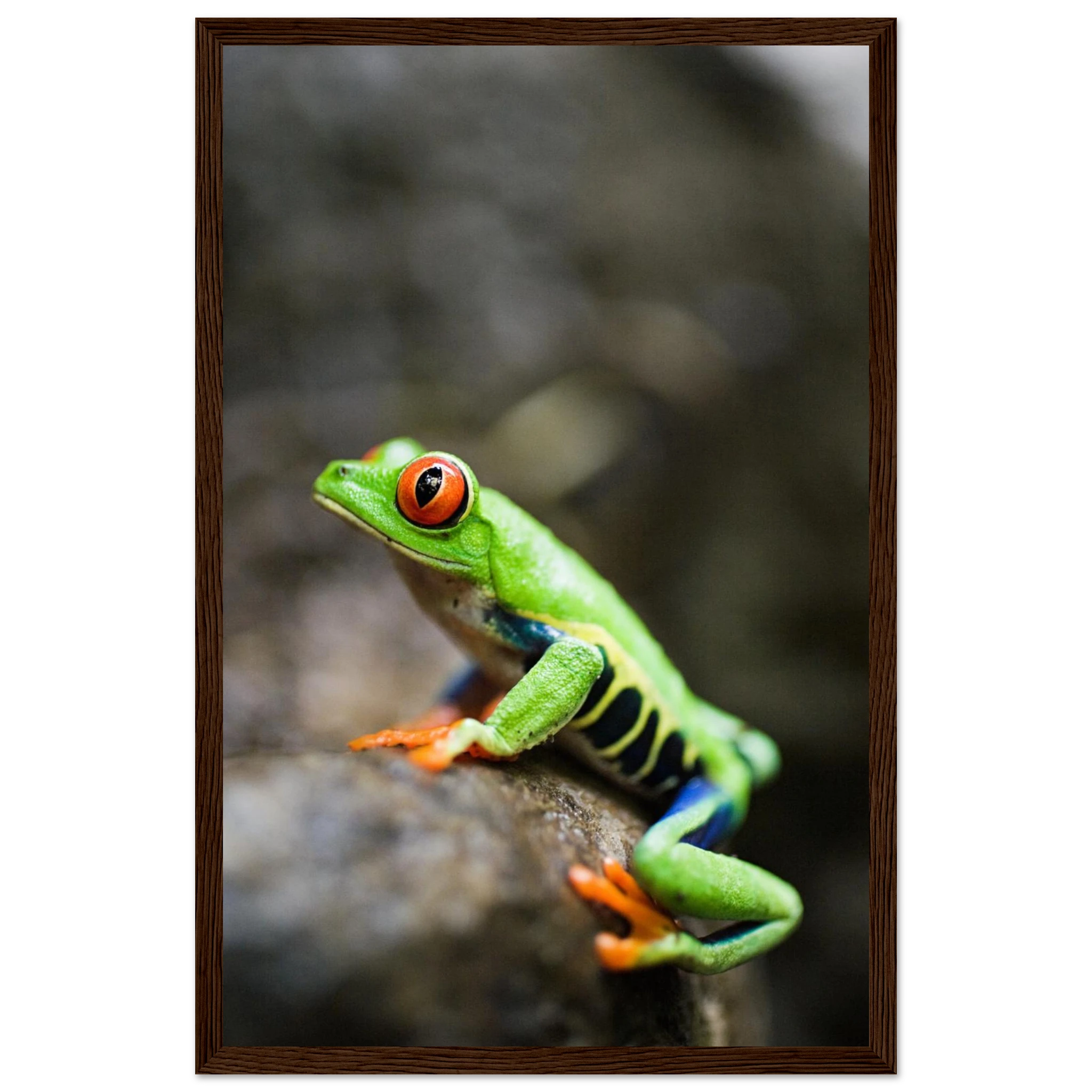 ba542a15-d674-45e7-8eef-793022167964