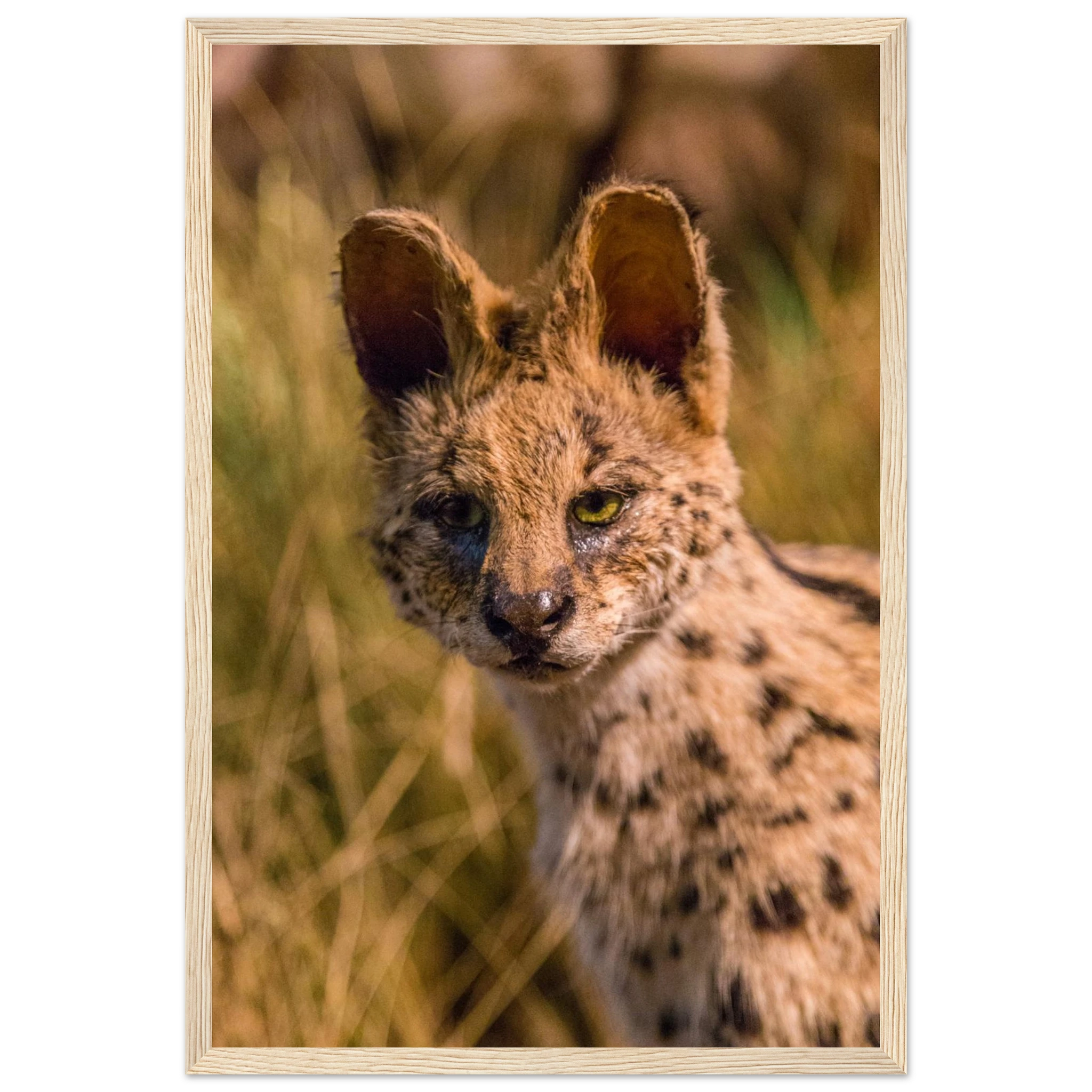 ba5e57ed-116f-40f5-8323-4fb089f25f96