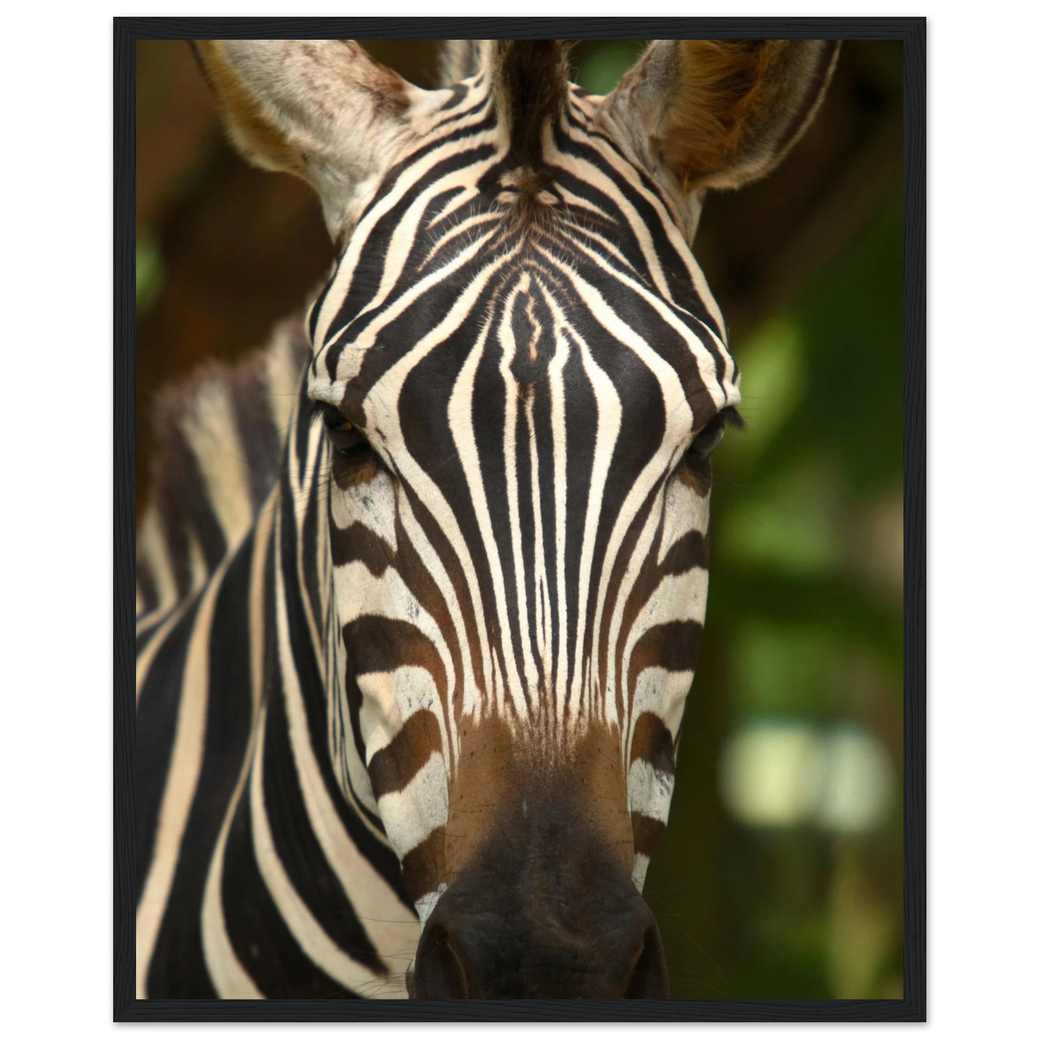 ba776698-e33b-4f45-9cdb-529f8f82cb2c