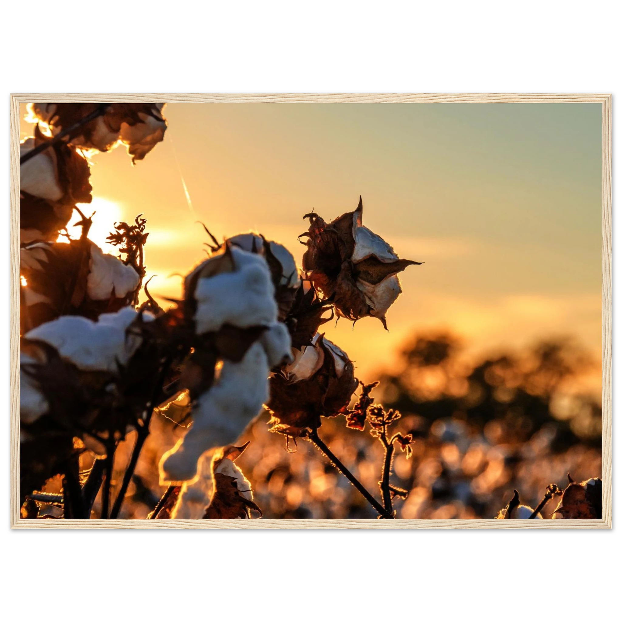 bab0ef1f-1bfa-45a3-a312-af9f36f7a00a