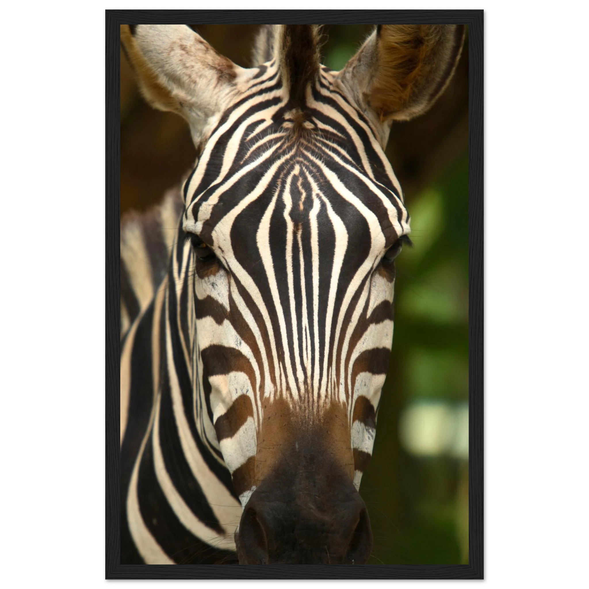 bac23c54-e77f-43ab-8c5d-8730625ae28c