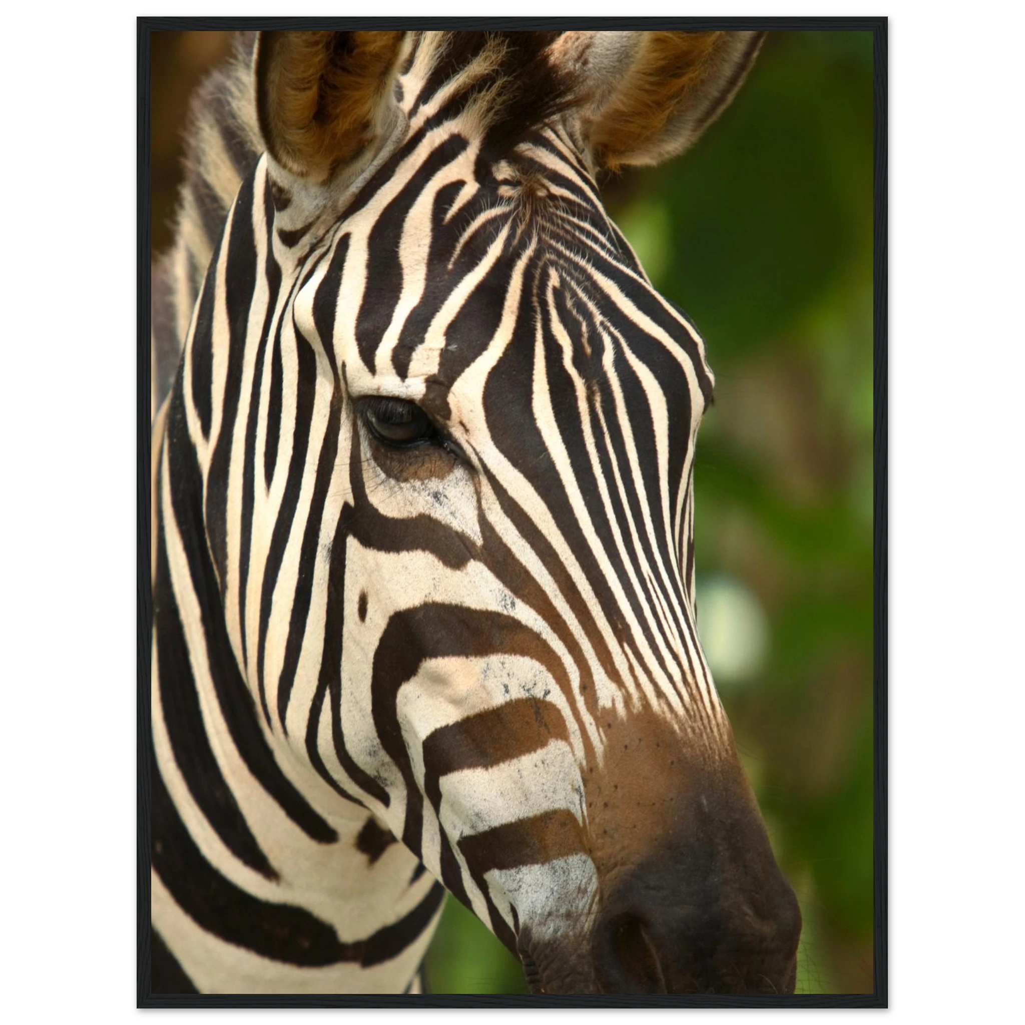 bae1acb6-465d-4451-a8dc-5c79a9919307