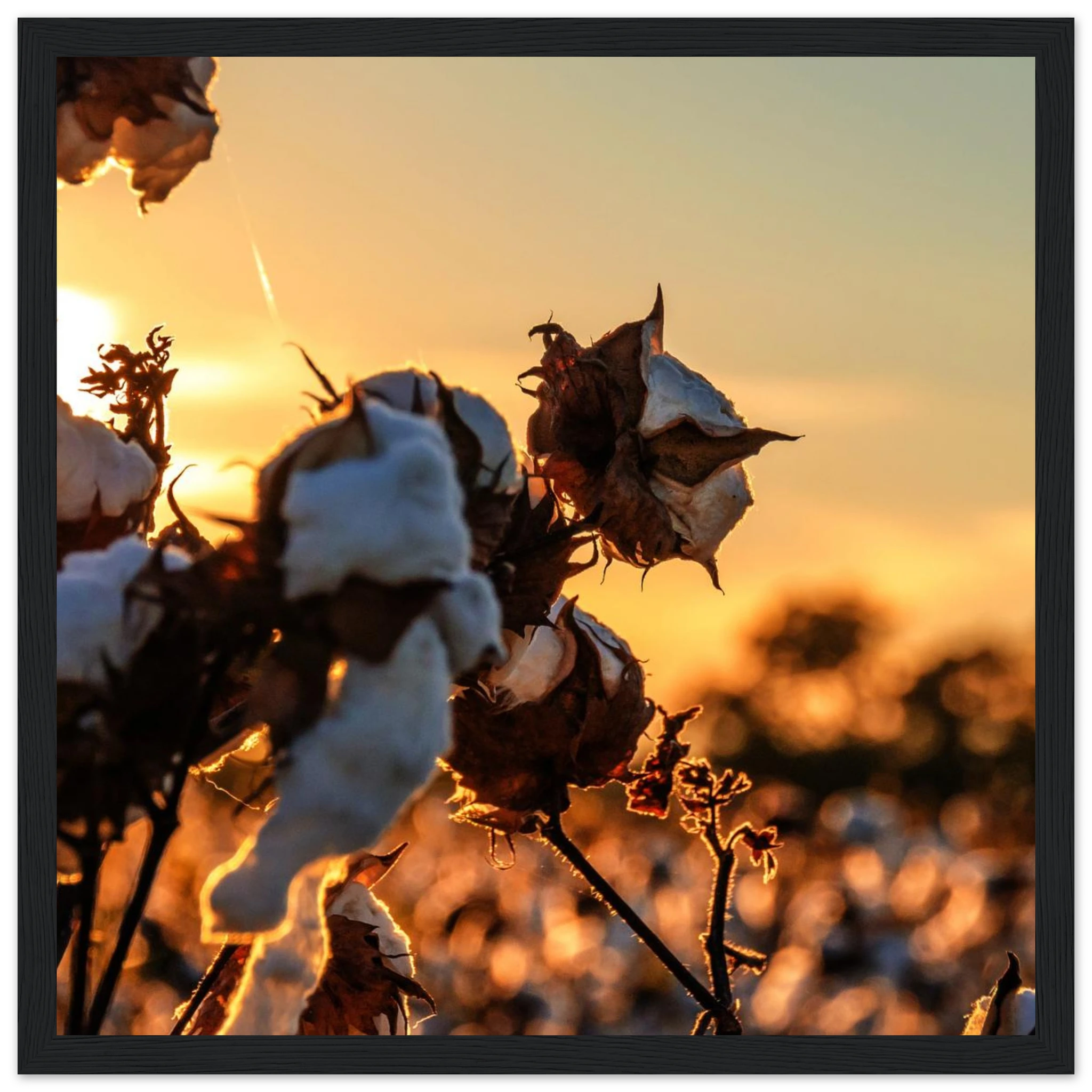 bb38a10d-27e7-4ca8-a59b-0f8e3d520731